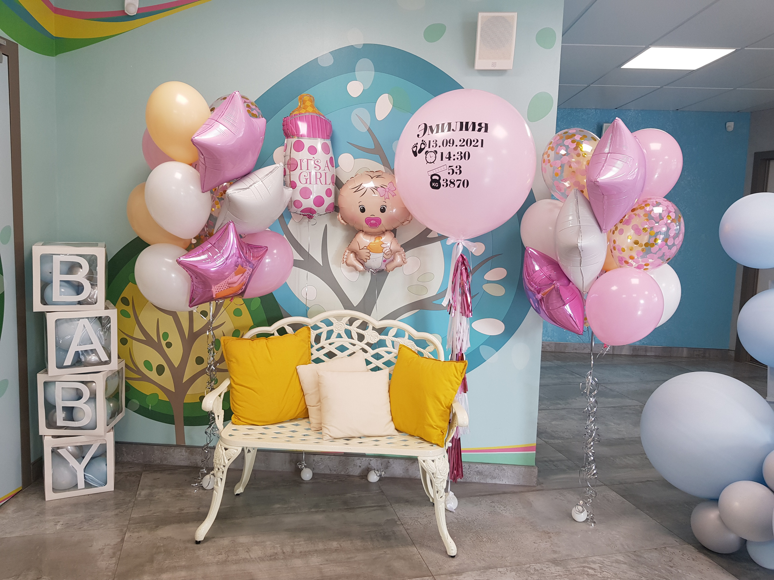 Фотограф в роддоме Сестрорецком г. Санкт-Петербург Банасиковская Ксения