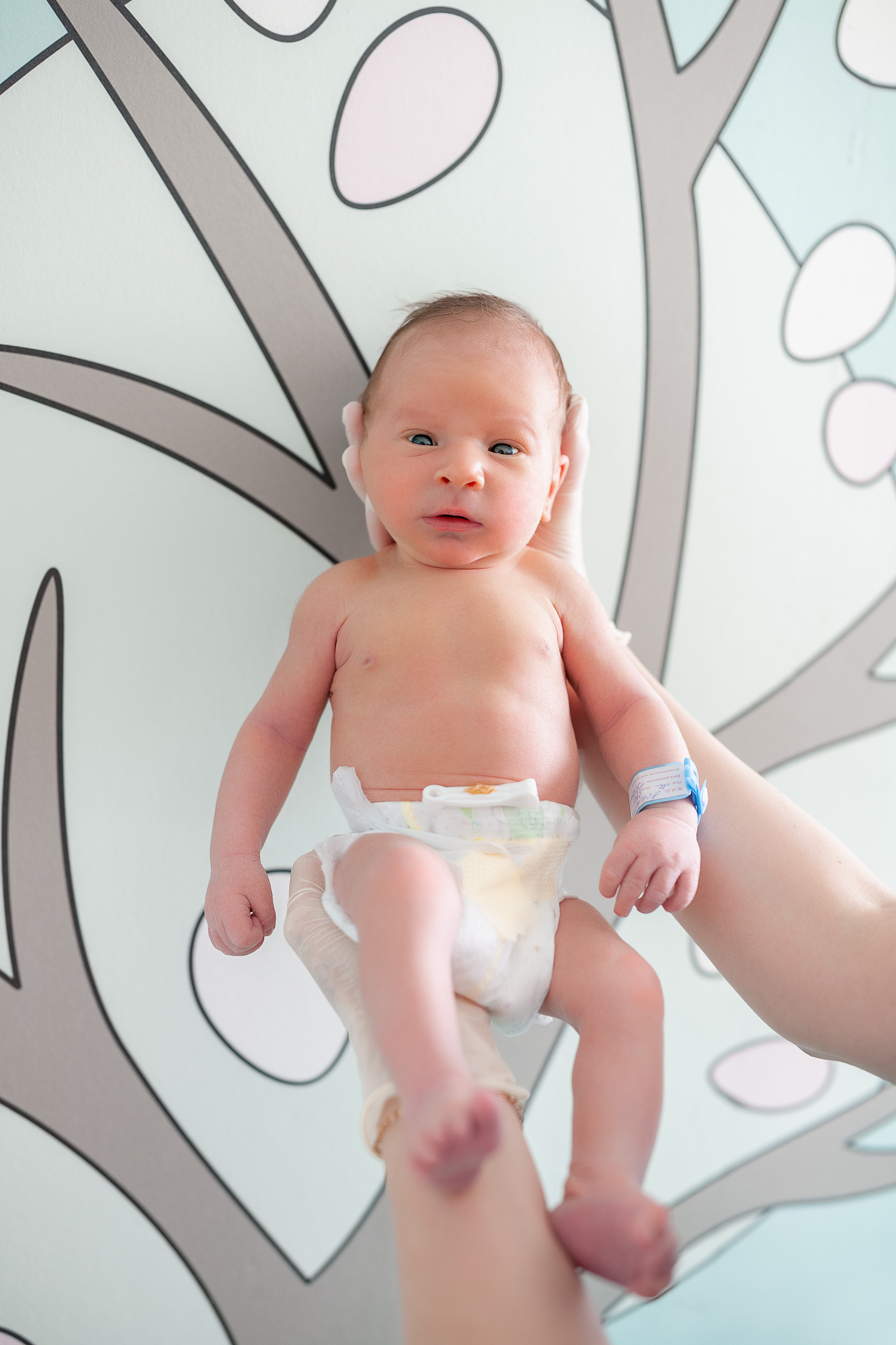 23 марта 2021. Фотограф в роддоме Сестрорецком г. Санкт-Петербург Банасиковская Ксения