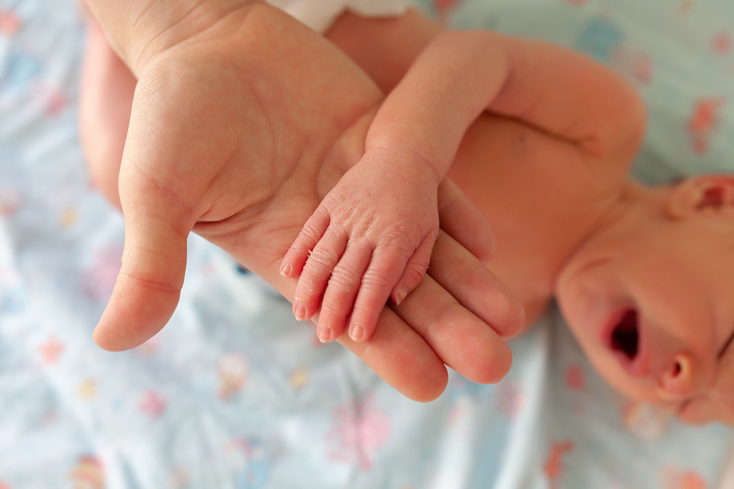 11 мая 2021. Фотограф в роддоме Сестрорецком г. Санкт-Петербург Банасиковская Ксения