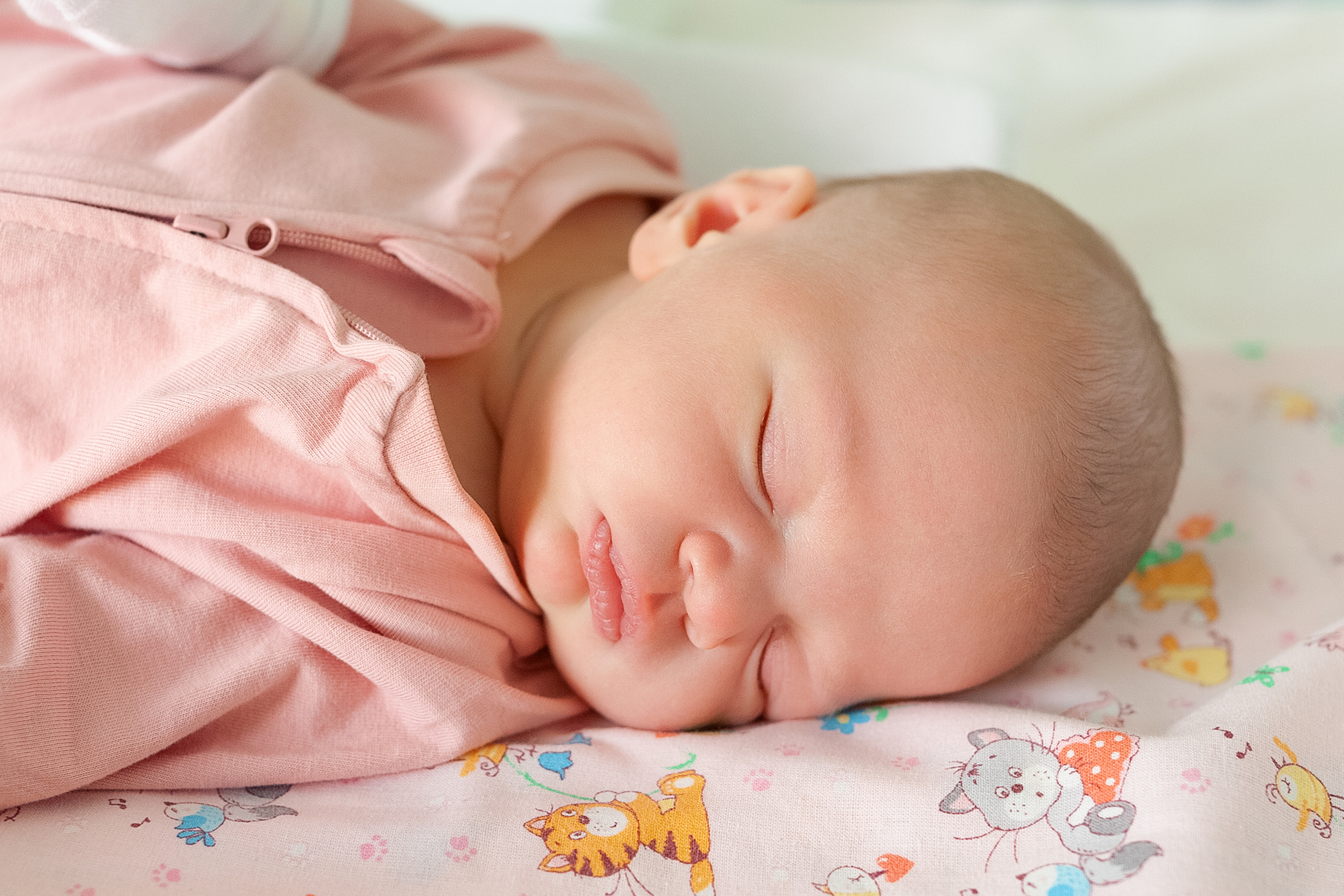 3 июня 2021. Фотограф в роддоме Сестрорецком г. Санкт-Петербург Банасиковская Ксения