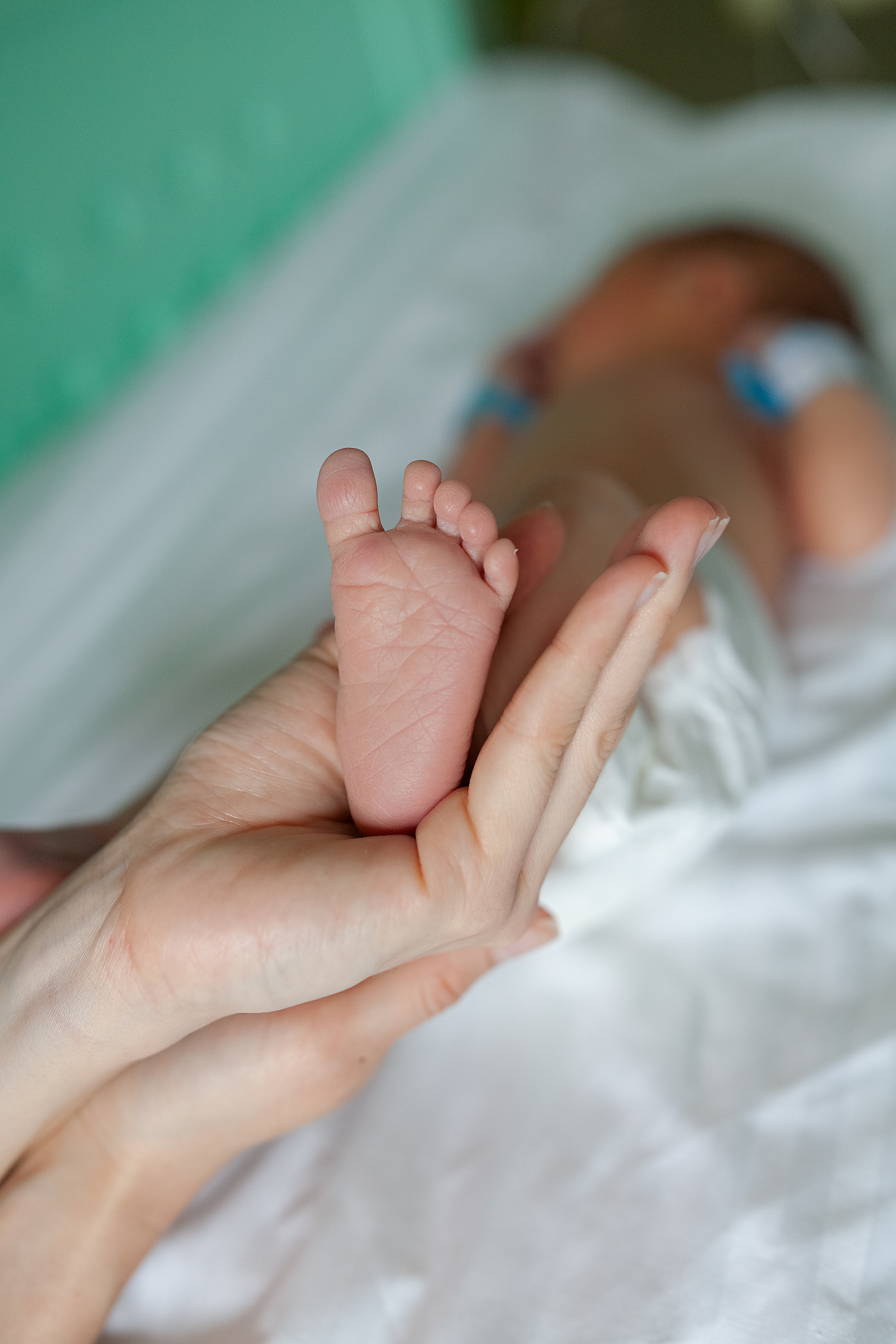 4 мая 2021. Фотограф в роддоме Сестрорецком г. Санкт-Петербург Банасиковская Ксения