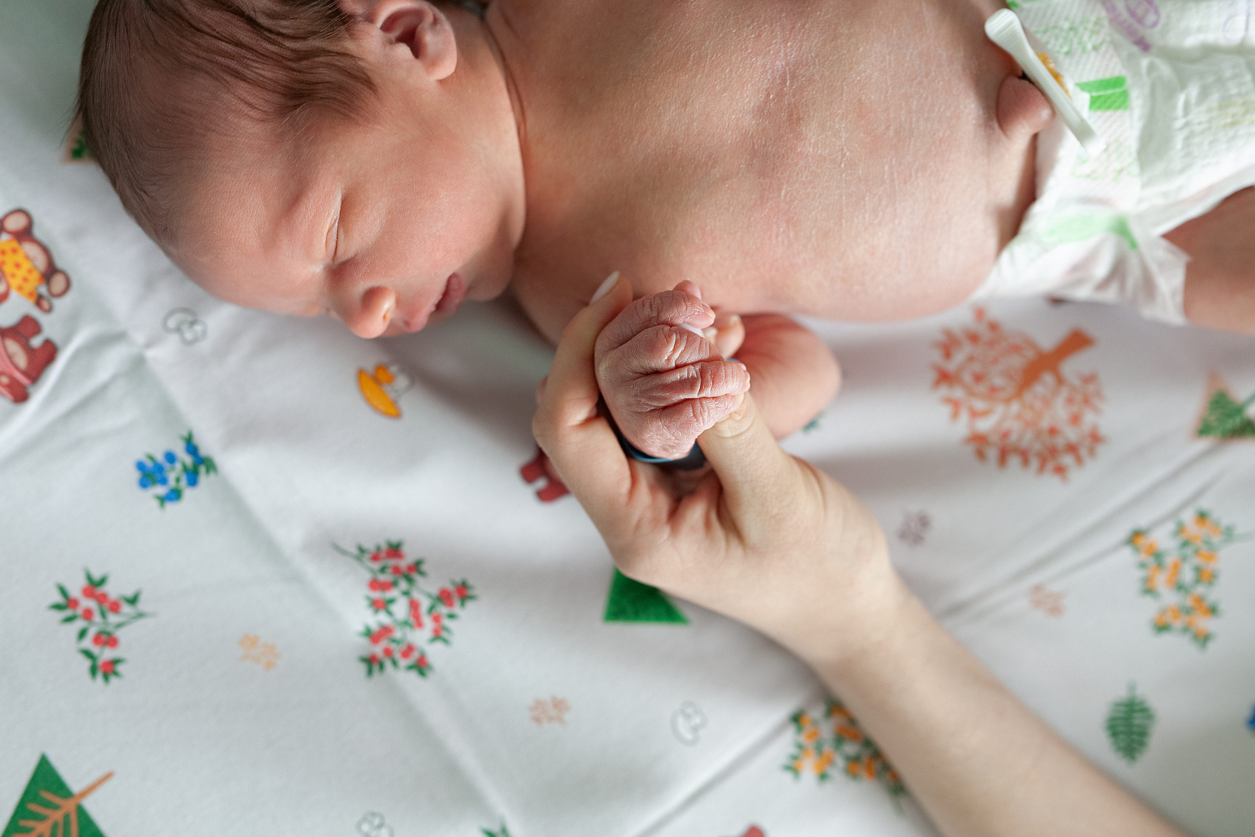 9 апреля 2021. Фотограф в роддоме Сестрорецком г. Санкт-Петербург Банасиковская Ксения