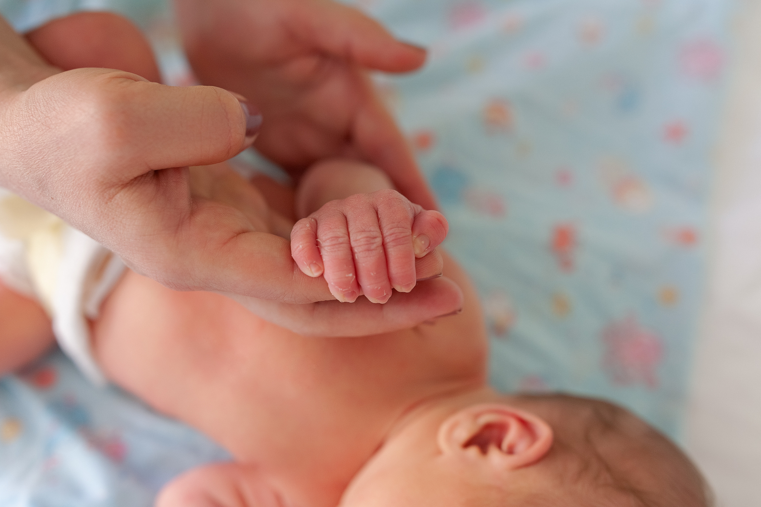 11 мая 2021. Фотограф в роддоме Сестрорецком г. Санкт-Петербург Банасиковская Ксения