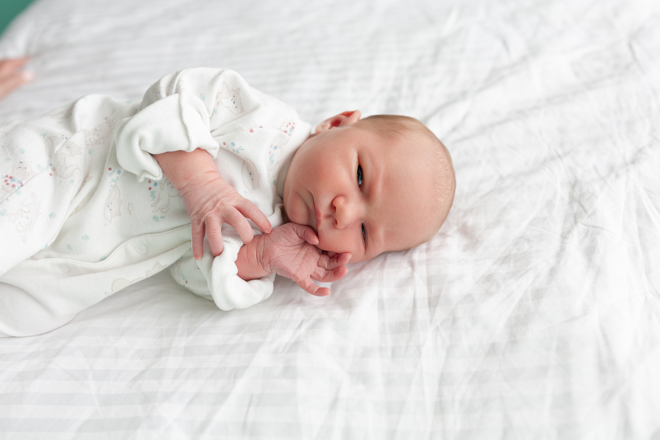 27 апреля 2021. Фотограф в роддоме Сестрорецком г. Санкт-Петербург Банасиковская Ксения