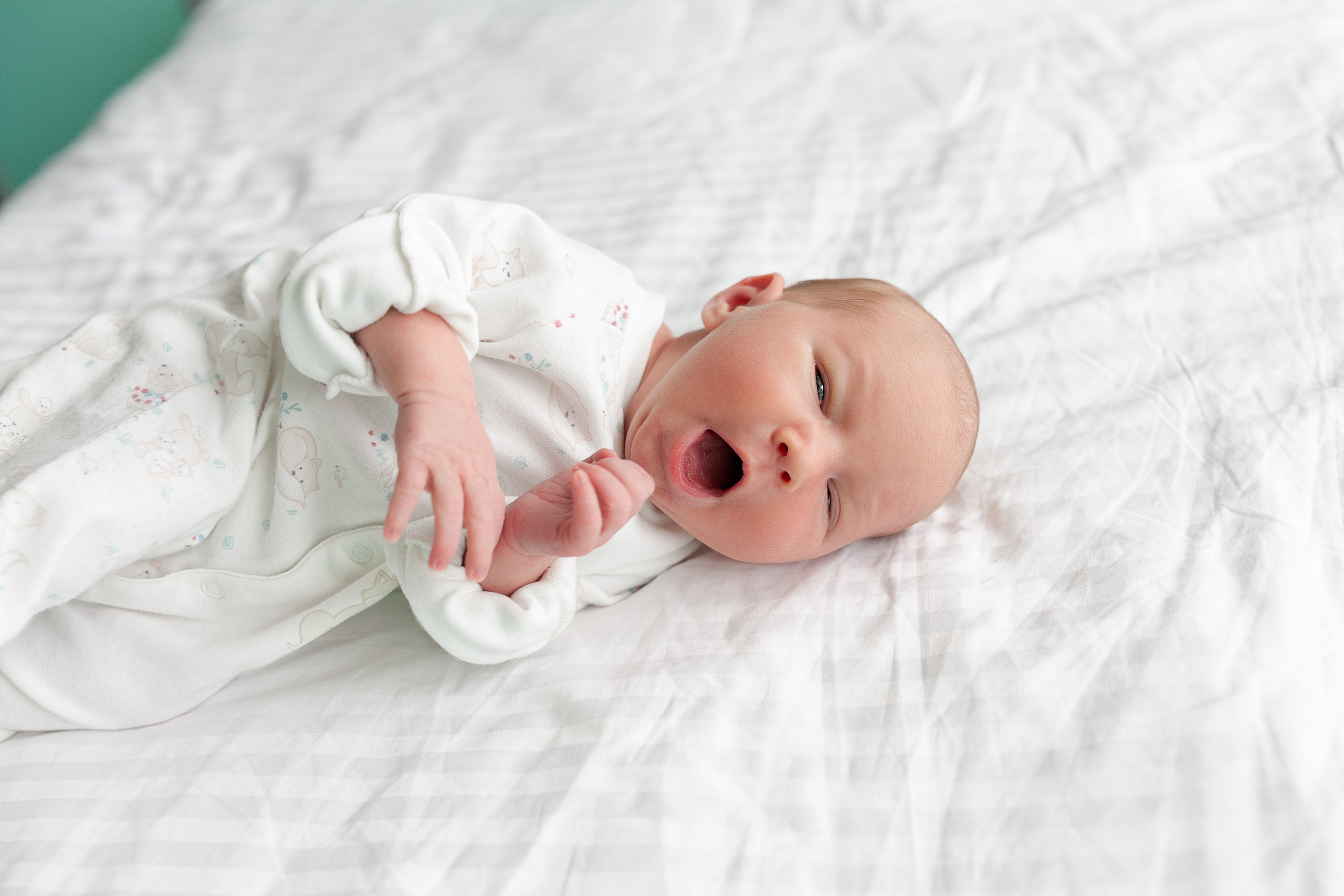 27 апреля 2021. Фотограф в роддоме Сестрорецком г. Санкт-Петербург Банасиковская Ксения