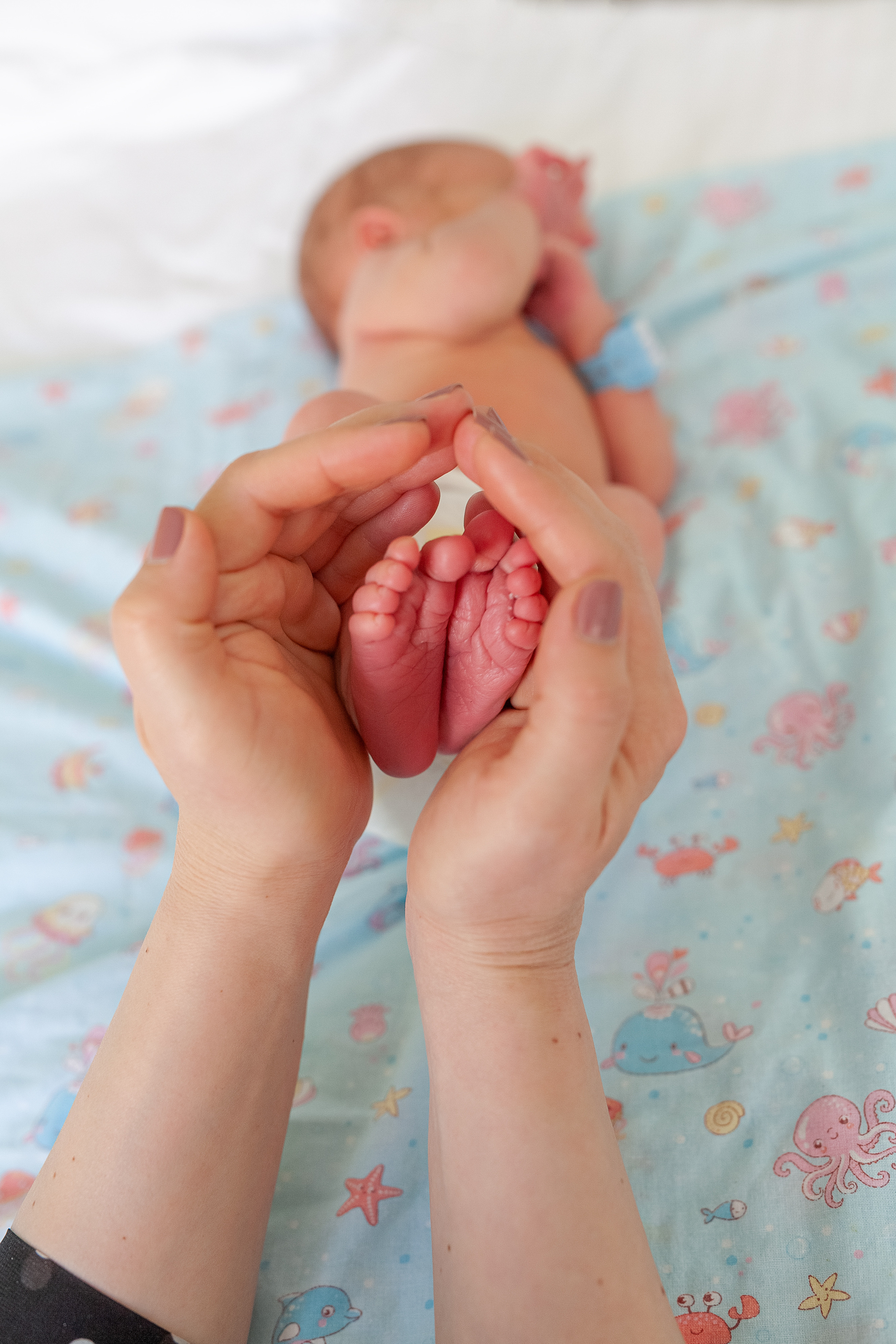 11 мая 2021. Фотограф в роддоме Сестрорецком г. Санкт-Петербург Банасиковская Ксения