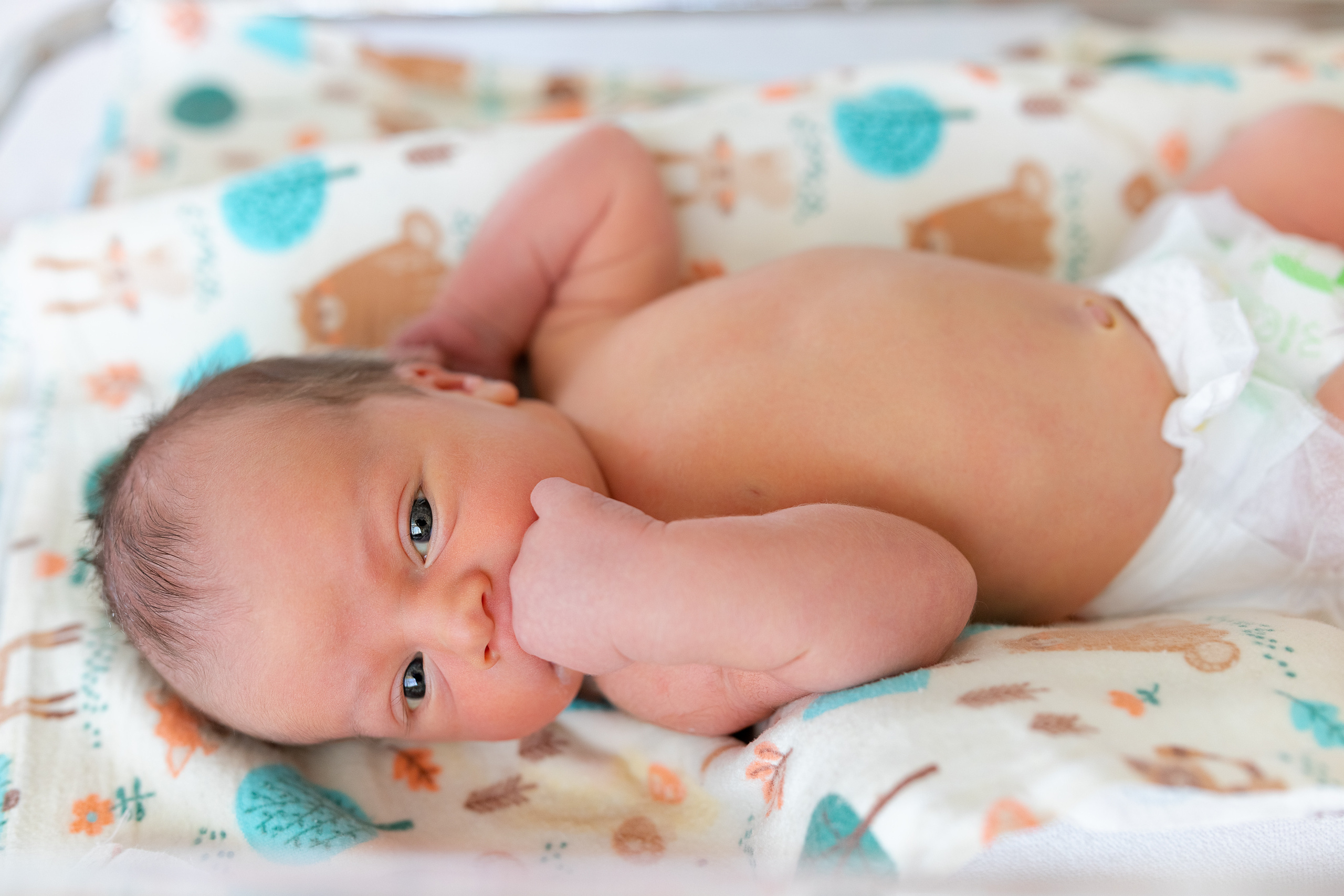 21 июня 2021. Фотограф в роддоме Сестрорецком г. Санкт-Петербург Банасиковская Ксения