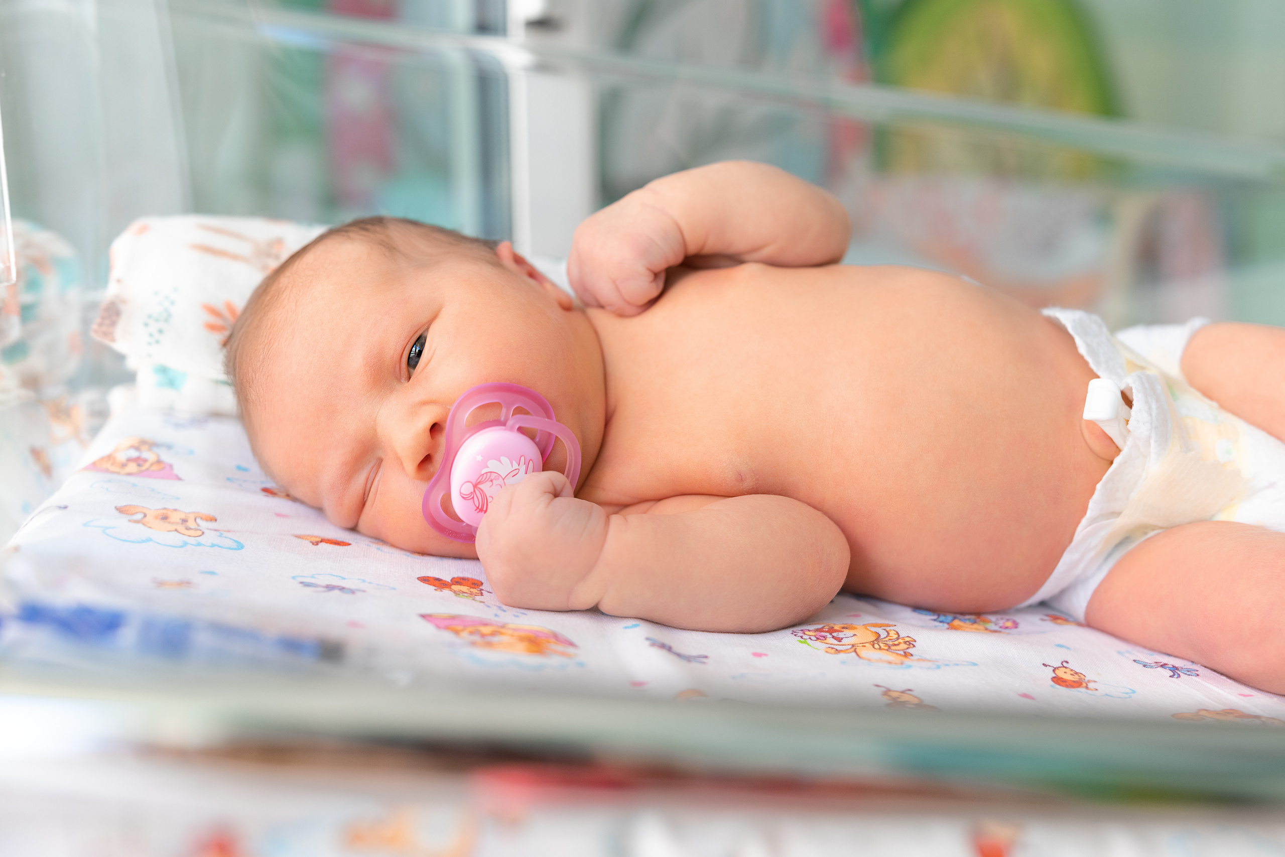 19 июня 2021. Фотограф в роддоме Сестрорецком г. Санкт-Петербург Банасиковская Ксения