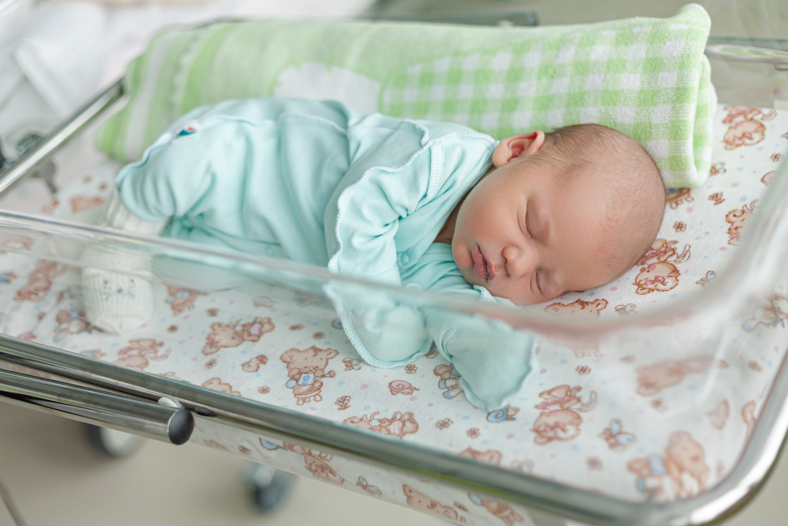 24 февраля 2021. Фотограф в роддоме Сестрорецком г. Санкт-Петербург Банасиковская Ксения