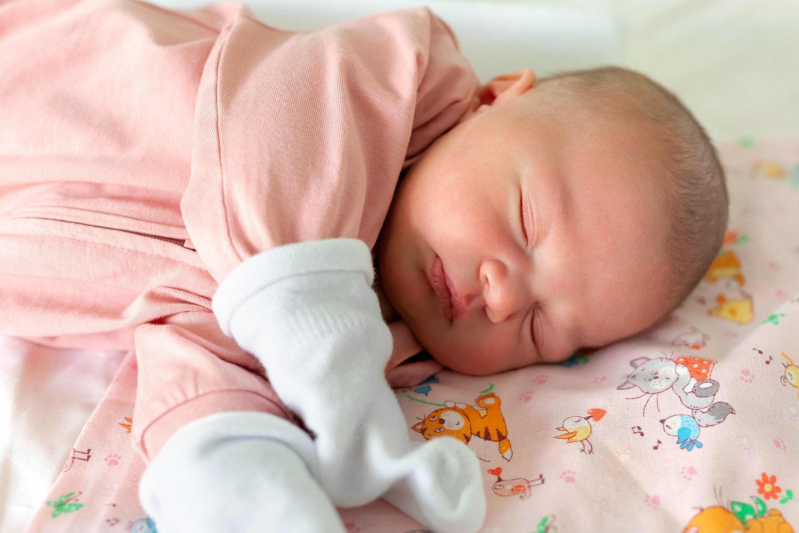 3 июня 2021. Фотограф в роддоме Сестрорецком г. Санкт-Петербург Банасиковская Ксения