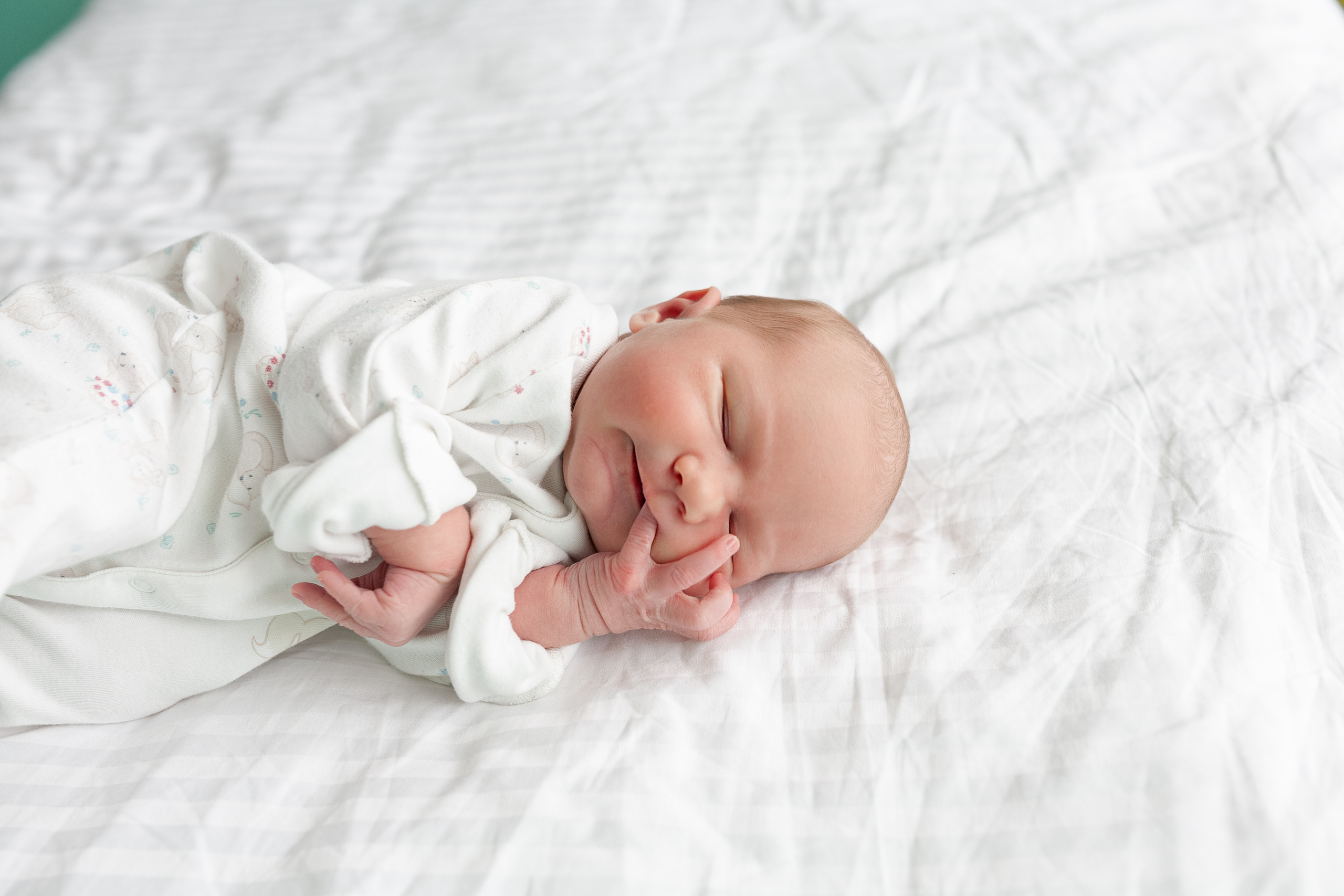 27 апреля 2021. Фотограф в роддоме Сестрорецком г. Санкт-Петербург Банасиковская Ксения