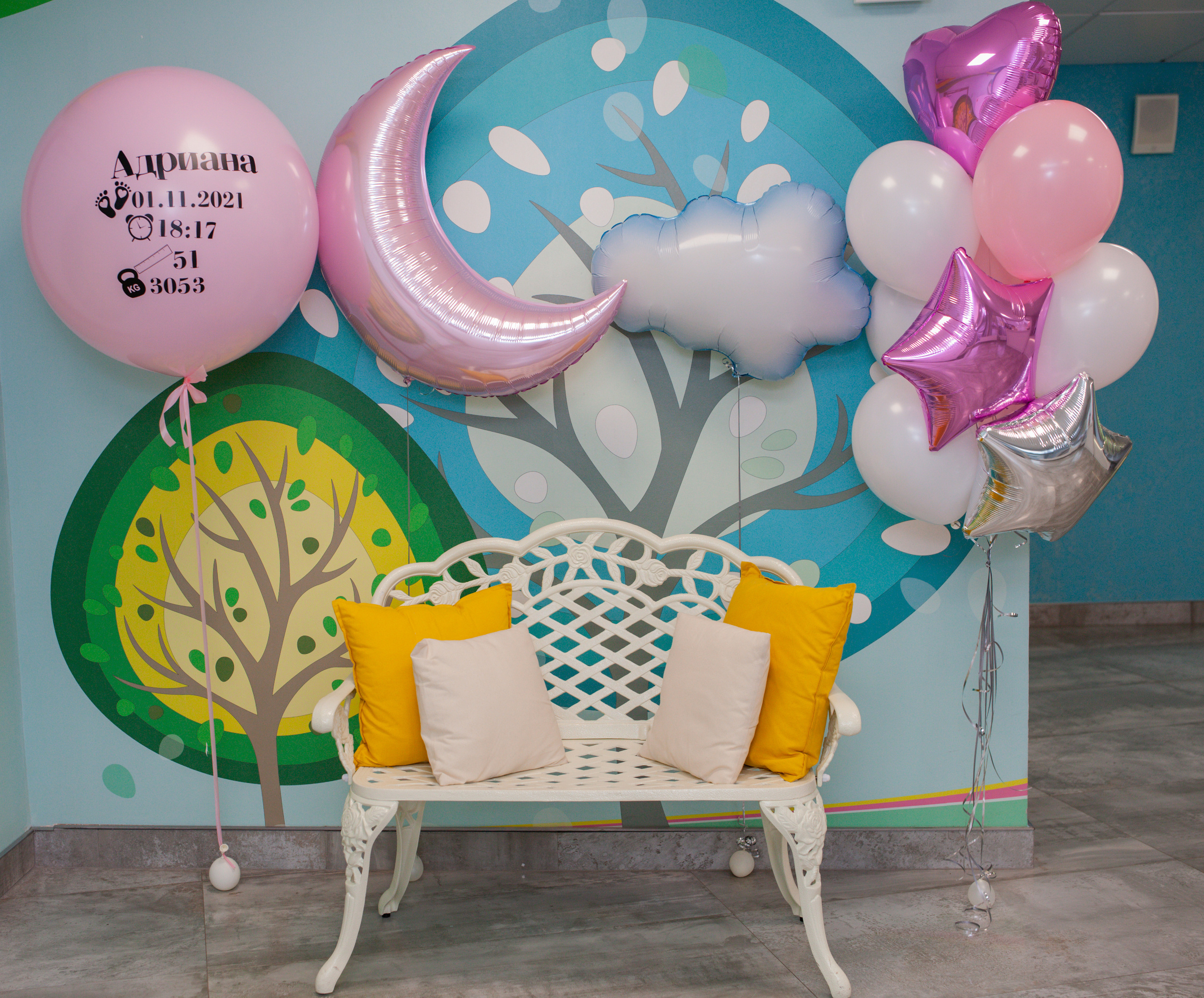 Фотограф в роддоме Сестрорецком г. Санкт-Петербург Банасиковская Ксения