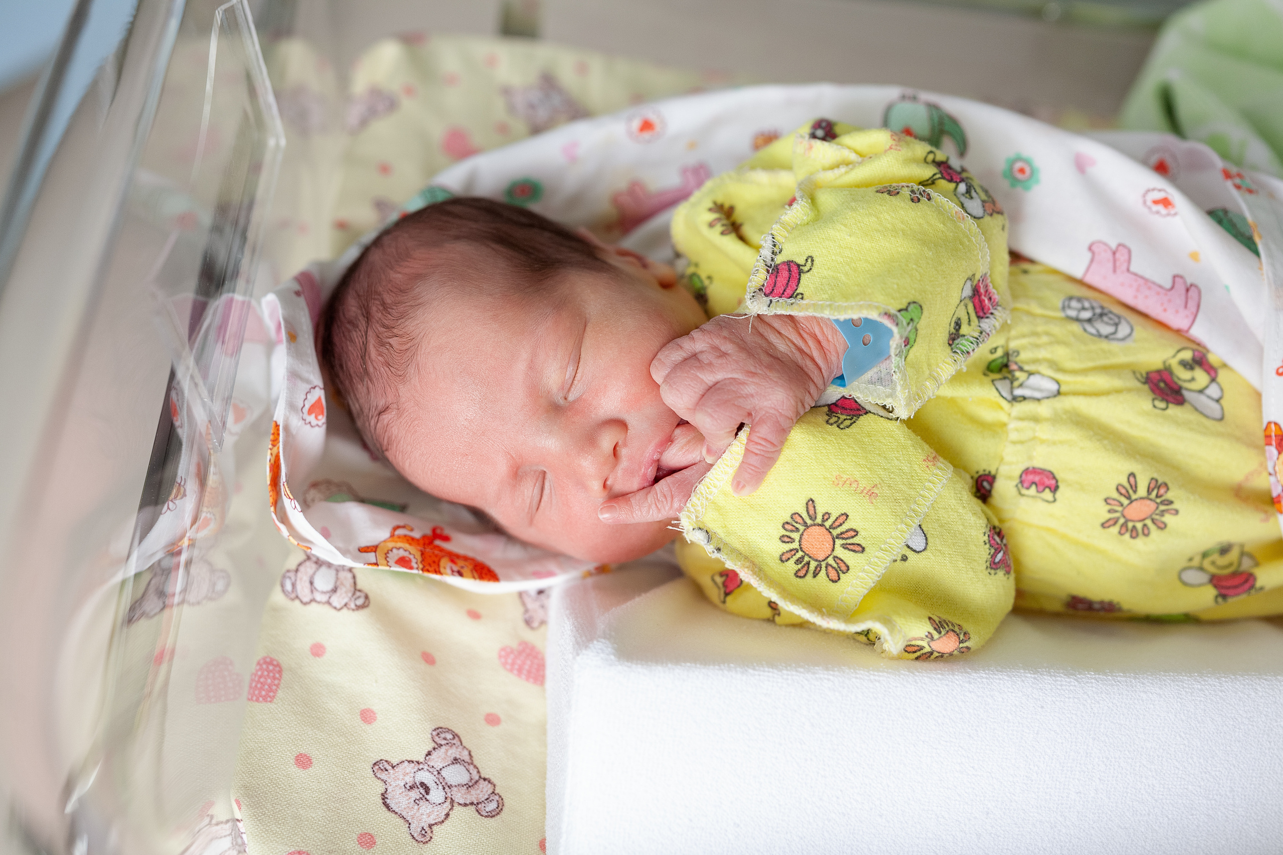 9 апреля 2021. Фотограф в роддоме Сестрорецком г. Санкт-Петербург Банасиковская Ксения