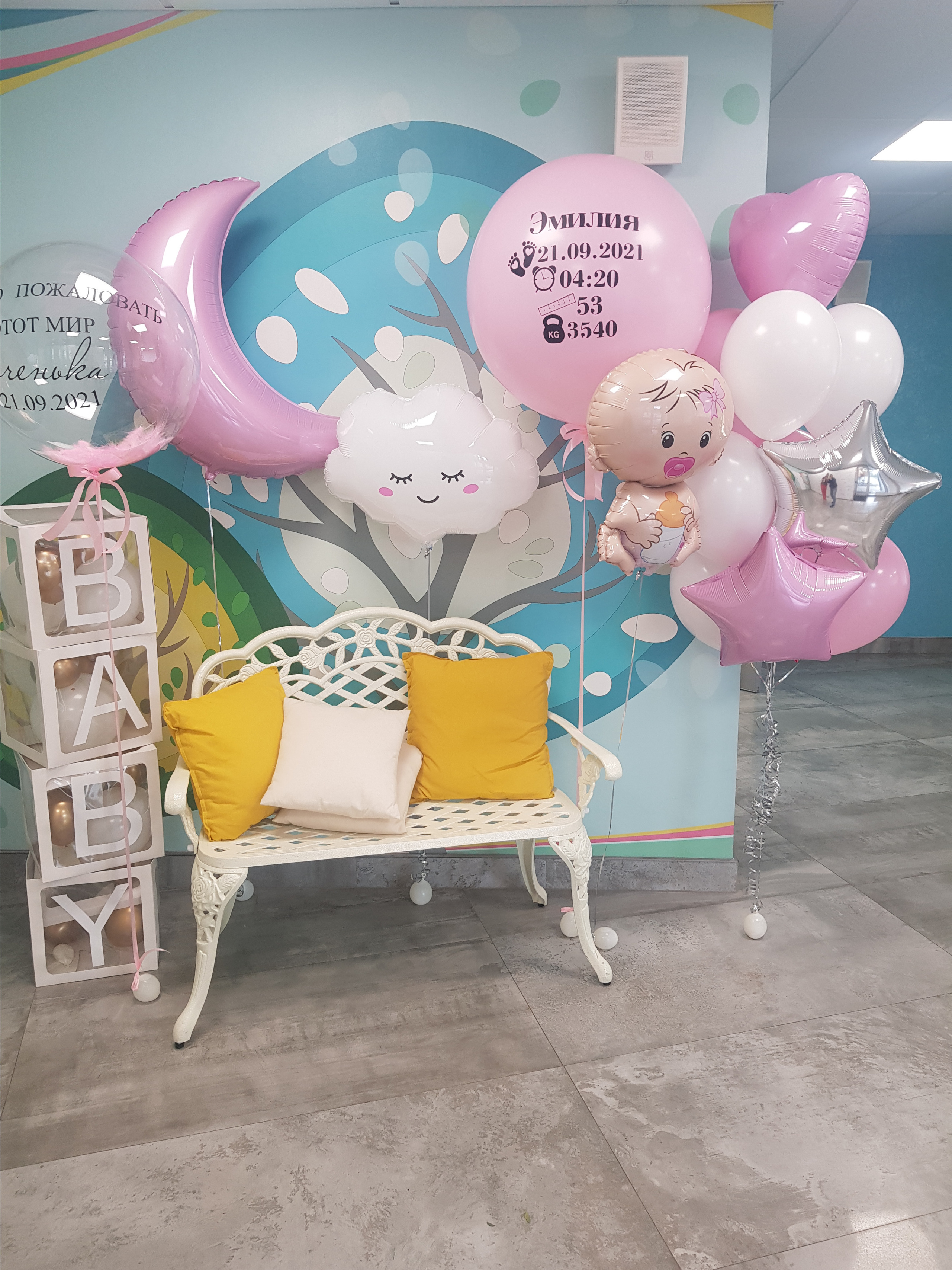 Фотограф в роддоме Сестрорецком г. Санкт-Петербург Банасиковская Ксения