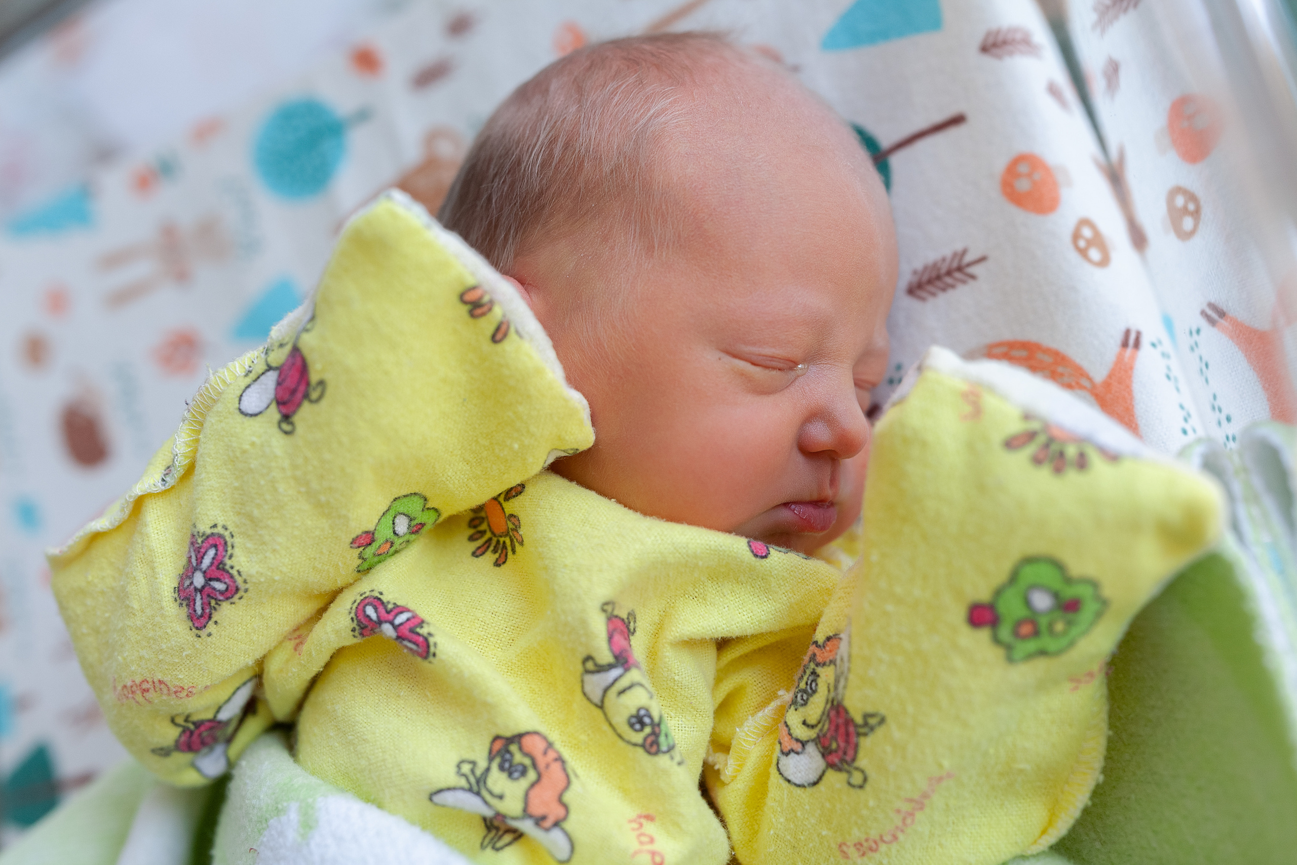 22 апреля 2021. Фотограф в роддоме Сестрорецком г. Санкт-Петербург Банасиковская Ксения