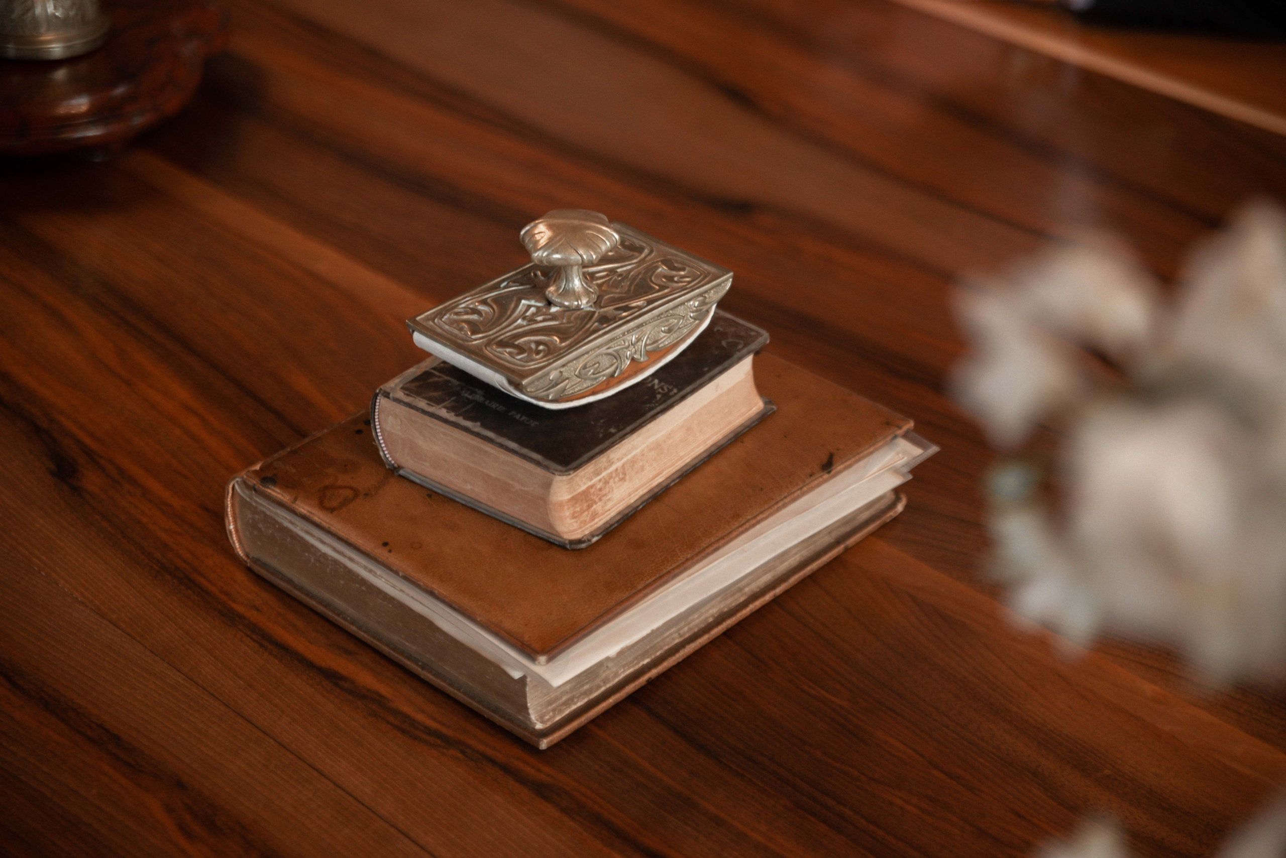 Женева. Фотограф и видеограф в Москве и Абу Даби Мария Кулагина