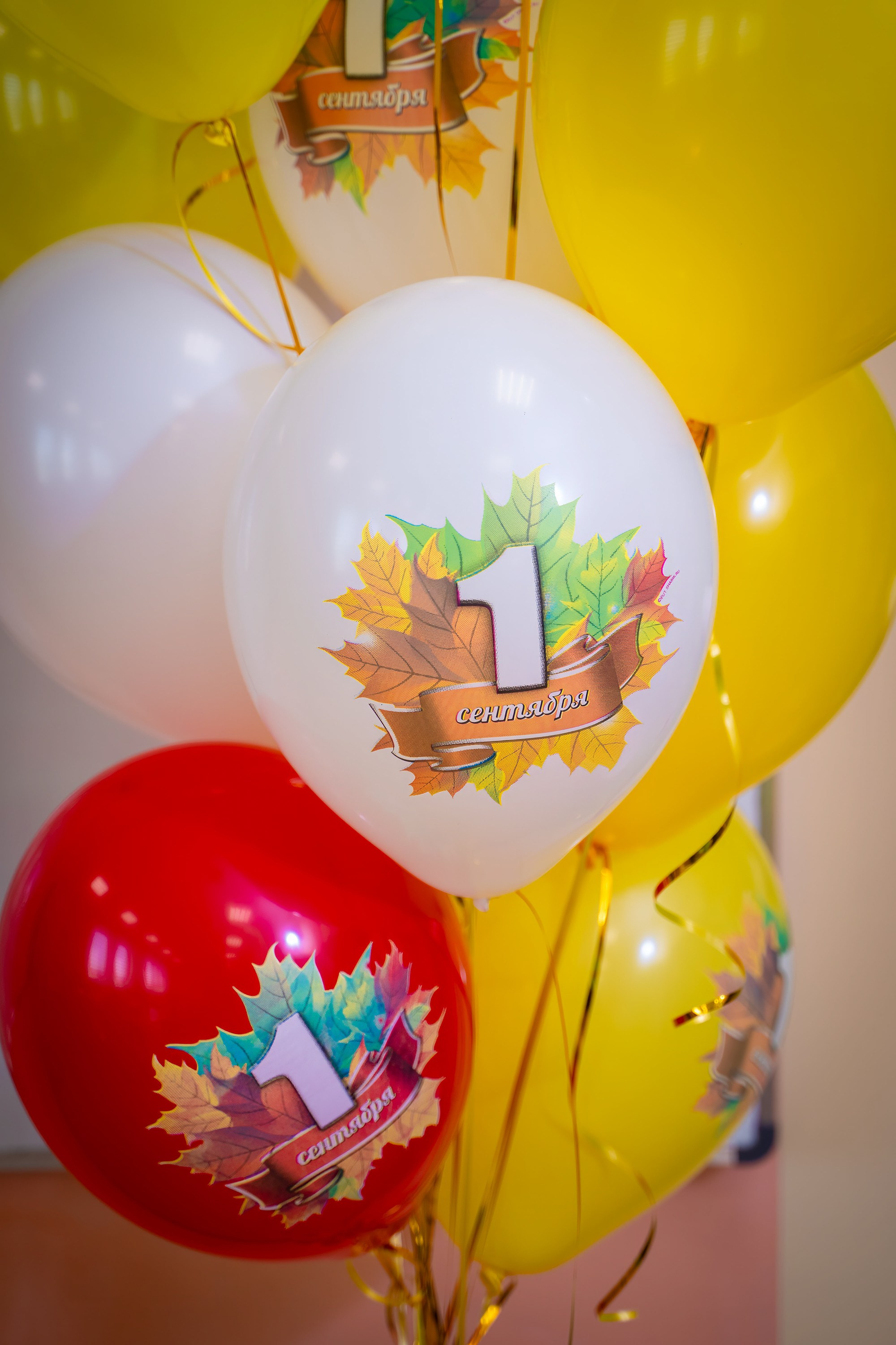 1Сентября_ ЮВЕНТА 1кл_Гимназия 92. Фотографы из солнечного Краснодара Вадим и Надежда Митус