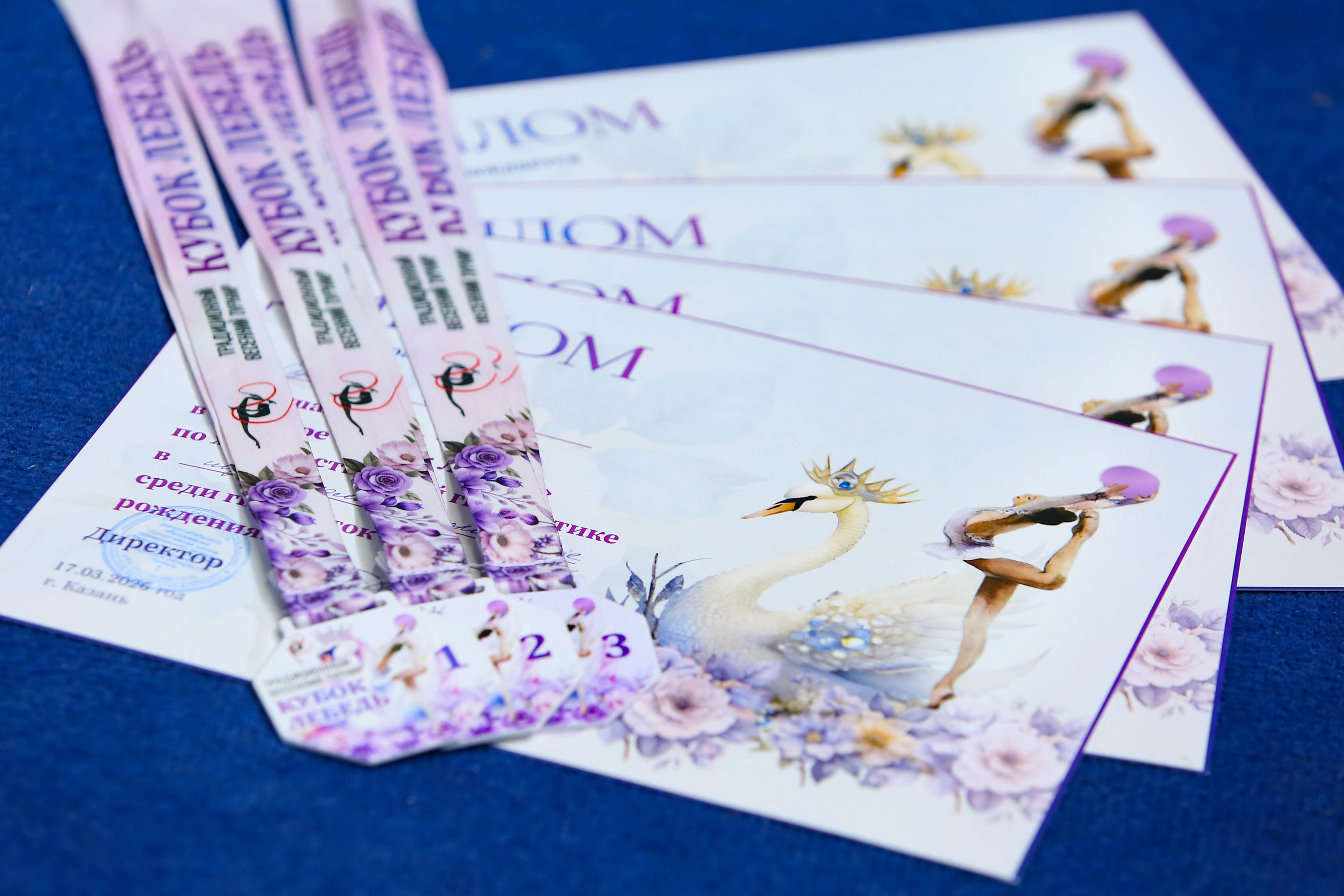 2026.03.17 Кубок Лебедя. RB-gymnastic