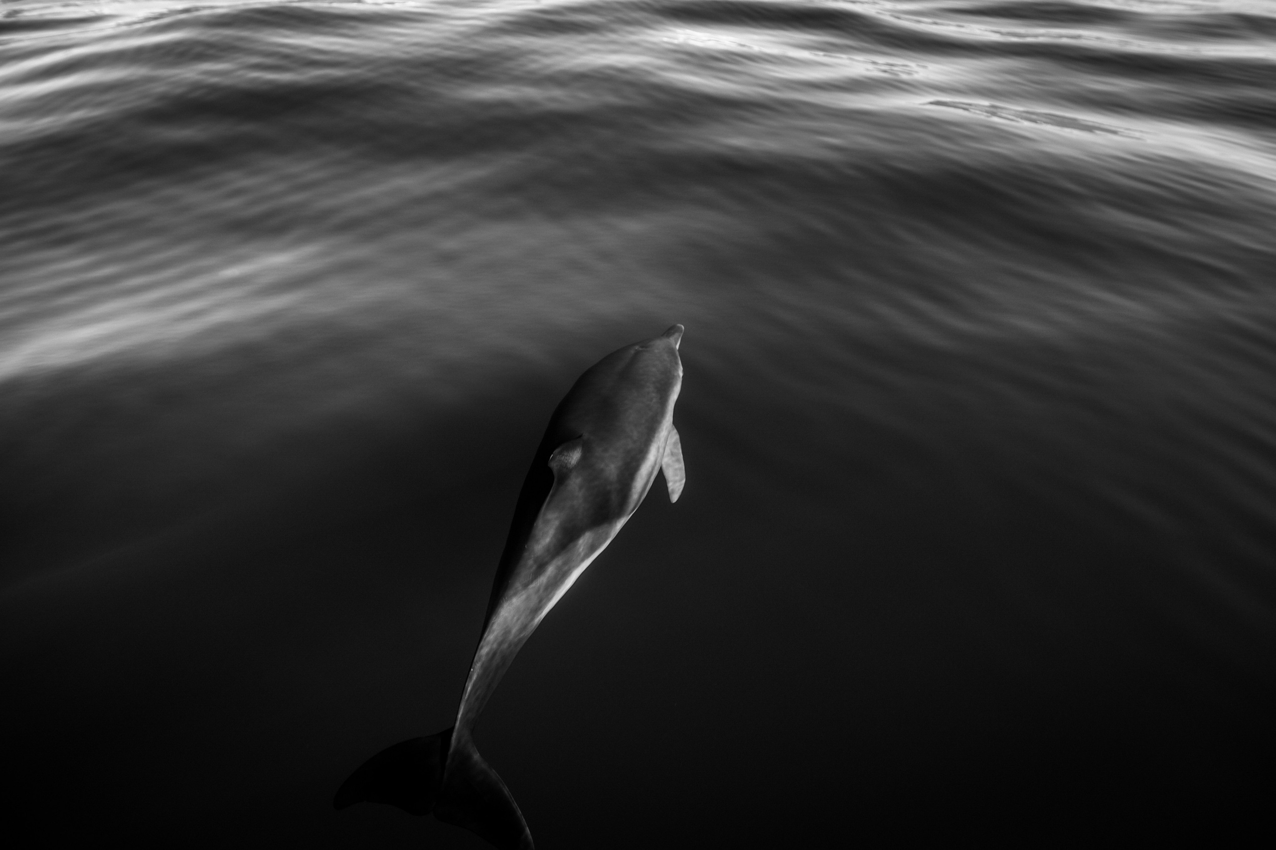 Wild and free. Anastasia Serdyuk, travel photographer, travel photo, portraits, stories, fineart prints