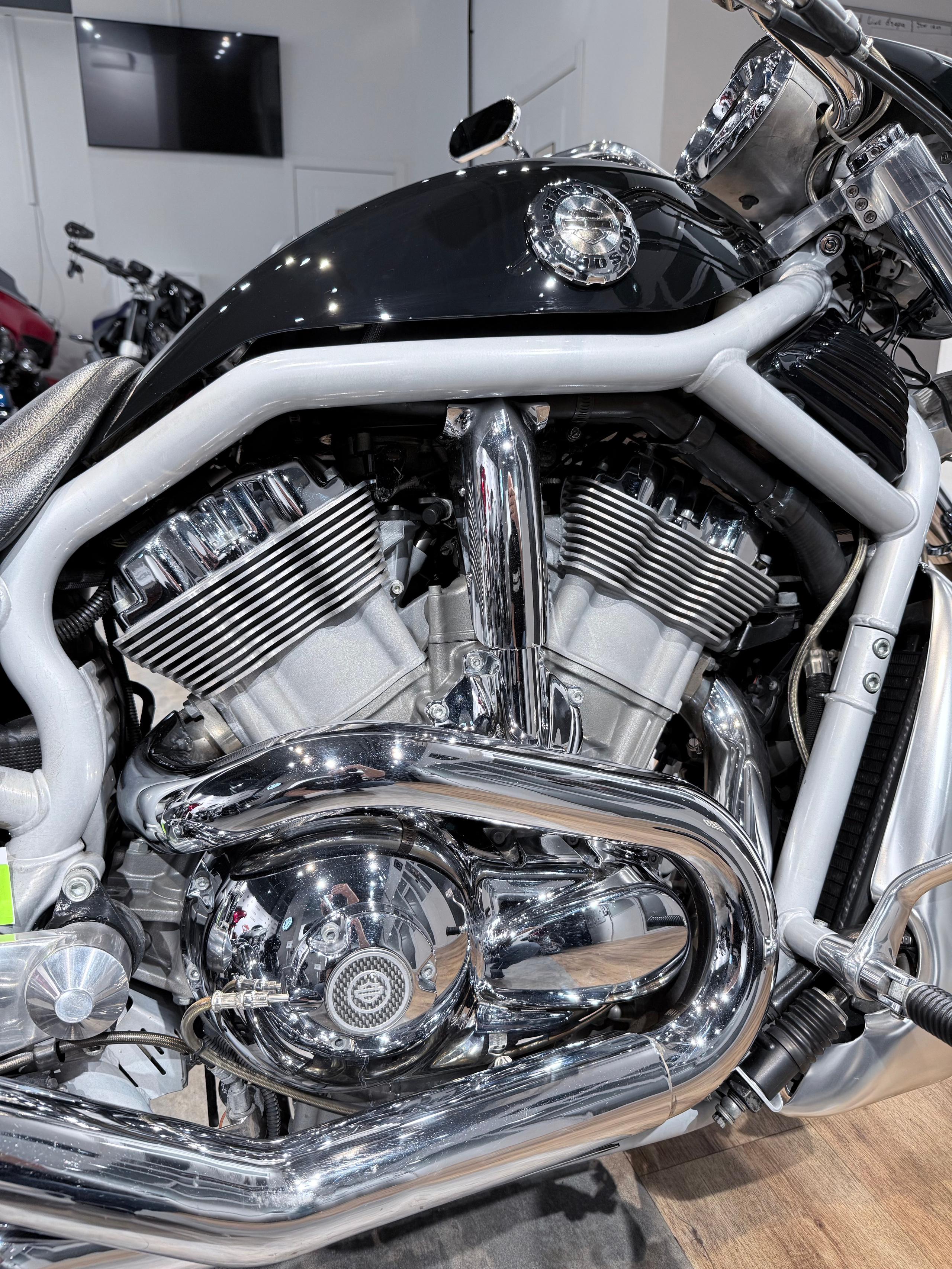 V-ROD 240 Rick's Edition. Hello Davidson, Москва. Только хорошие мотоциклы…