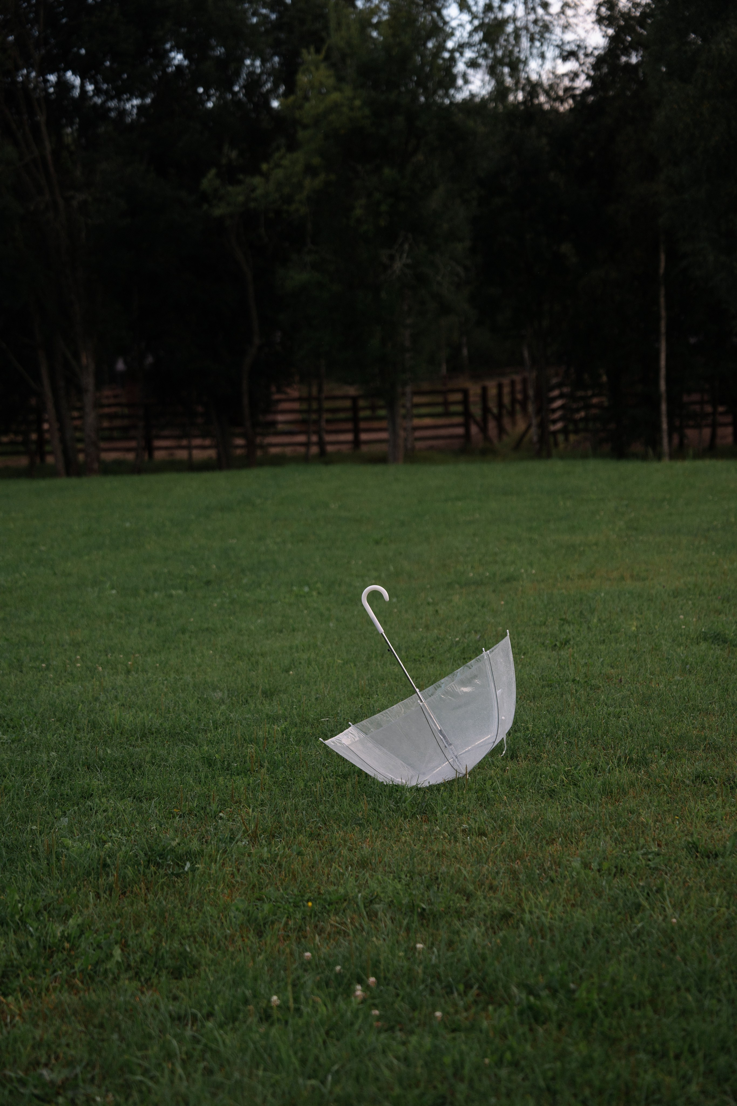 Валерия & Павел. Яркая свадьба в стиле модерн на природе. Свадебный фотограф организатор в Санкт-Петербурге Ассоль Опарина