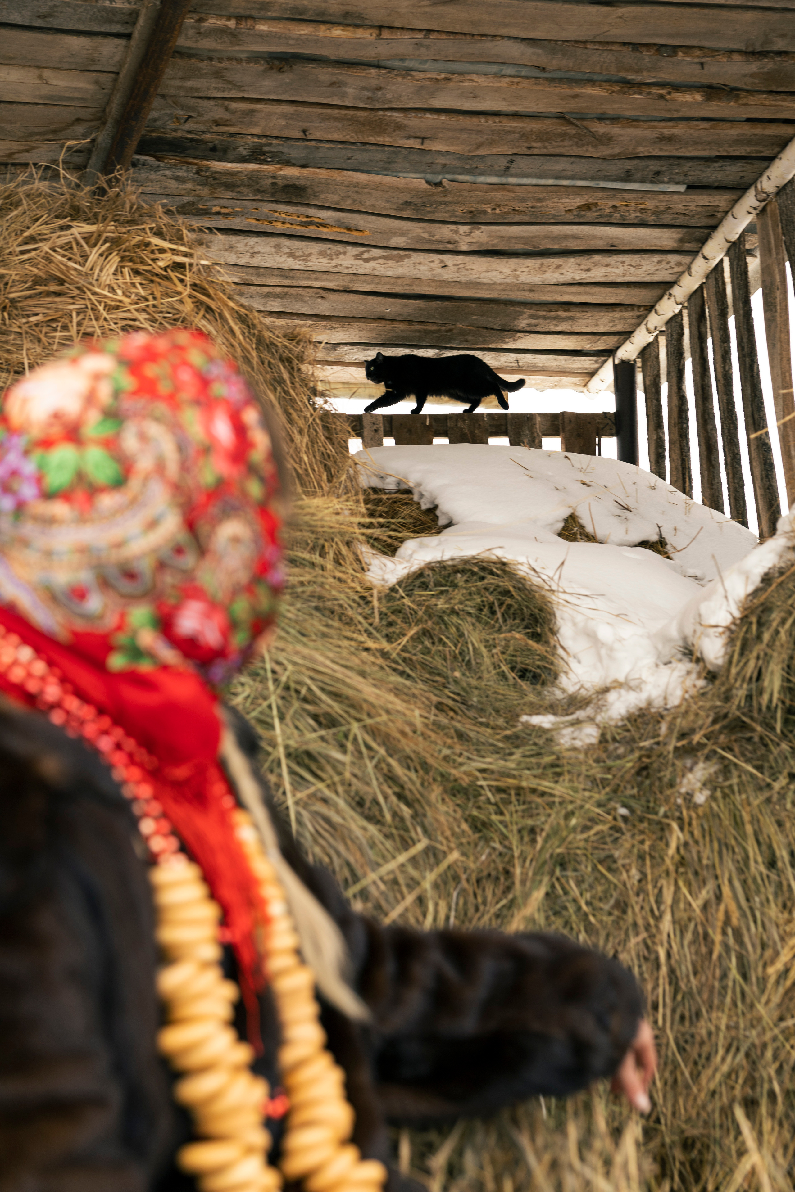Русская зима. Фотограф в Самаре Анастасия Афанасьева