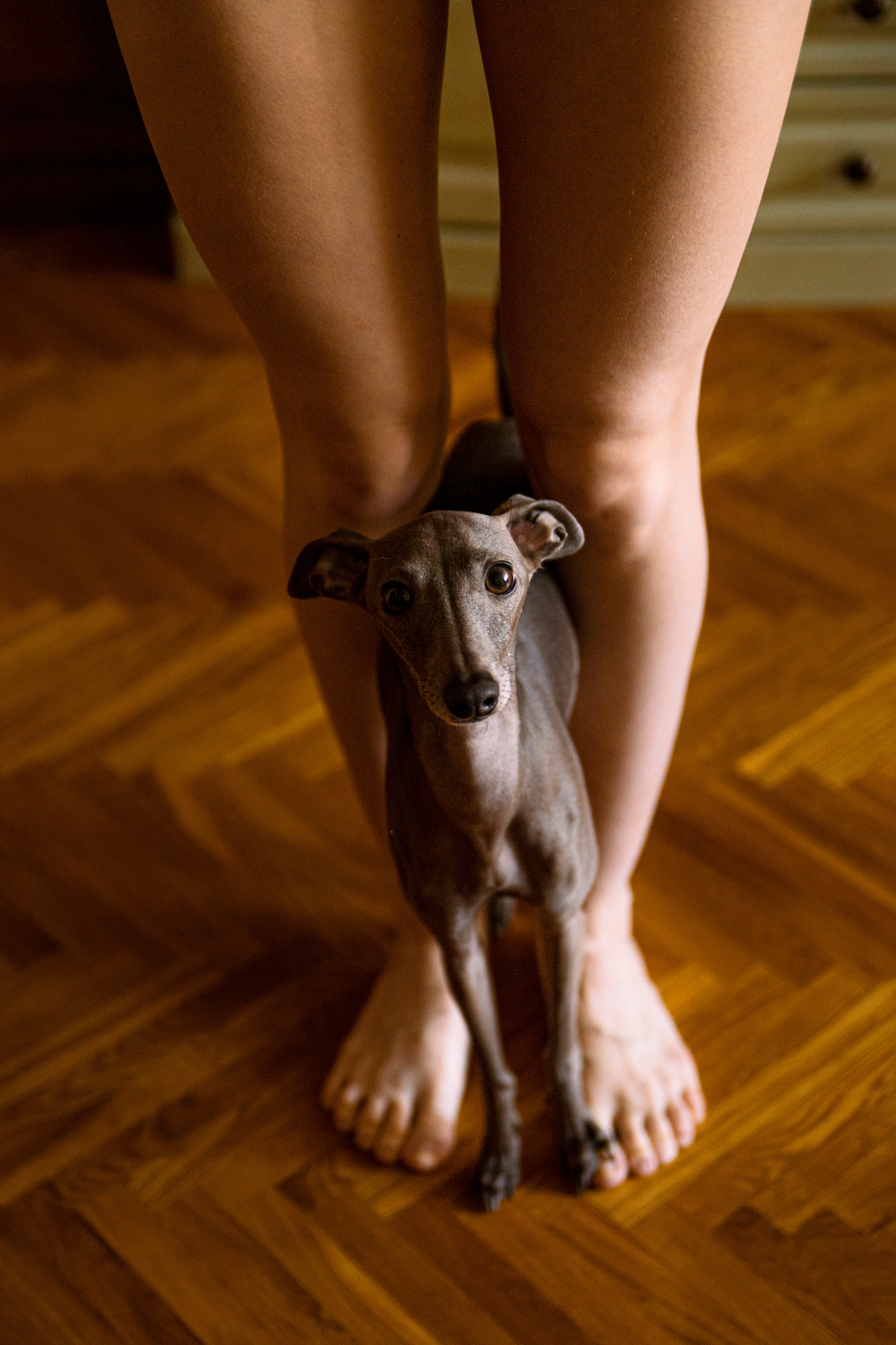 Грэй. Фотограф в Самаре Анастасия Афанасьева