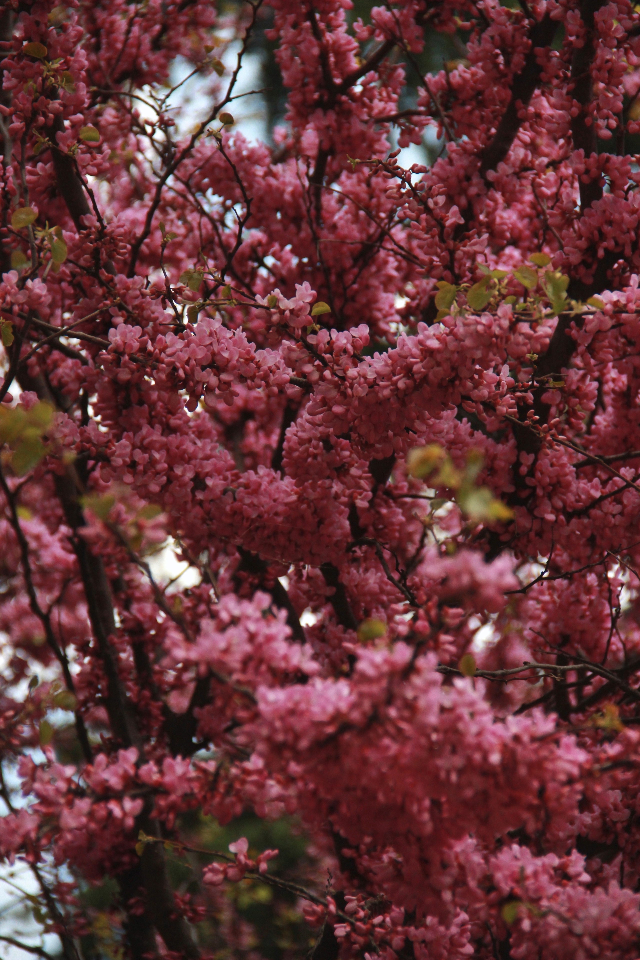 Крым. Фотограф и видеограф в Санкт-Петербурге