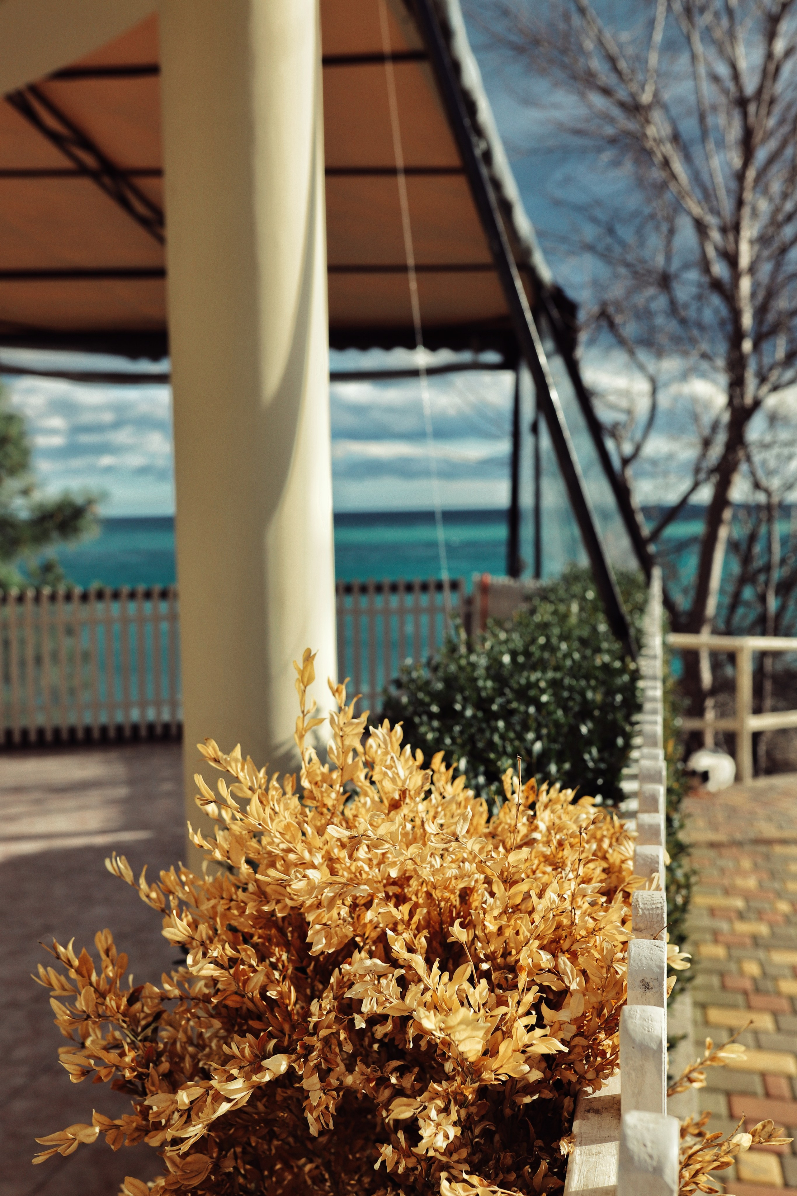 Алушта. Фотограф и видеограф в Санкт-Петербурге