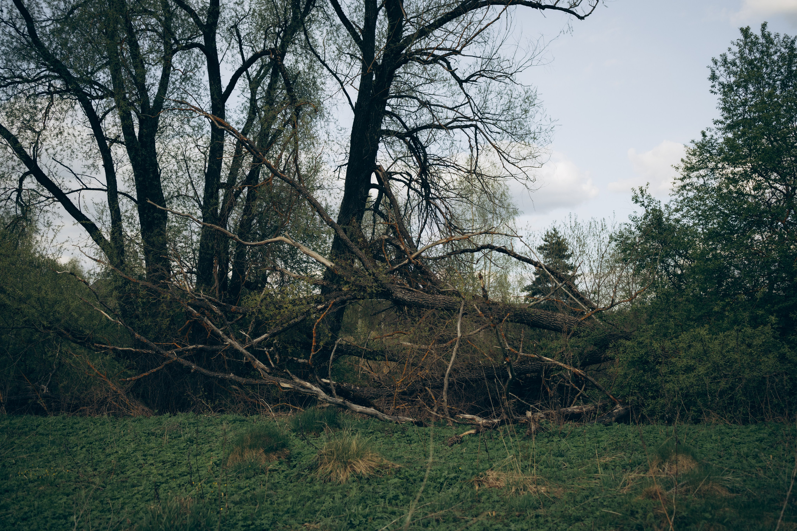 Istra. Женский фотограф Истра