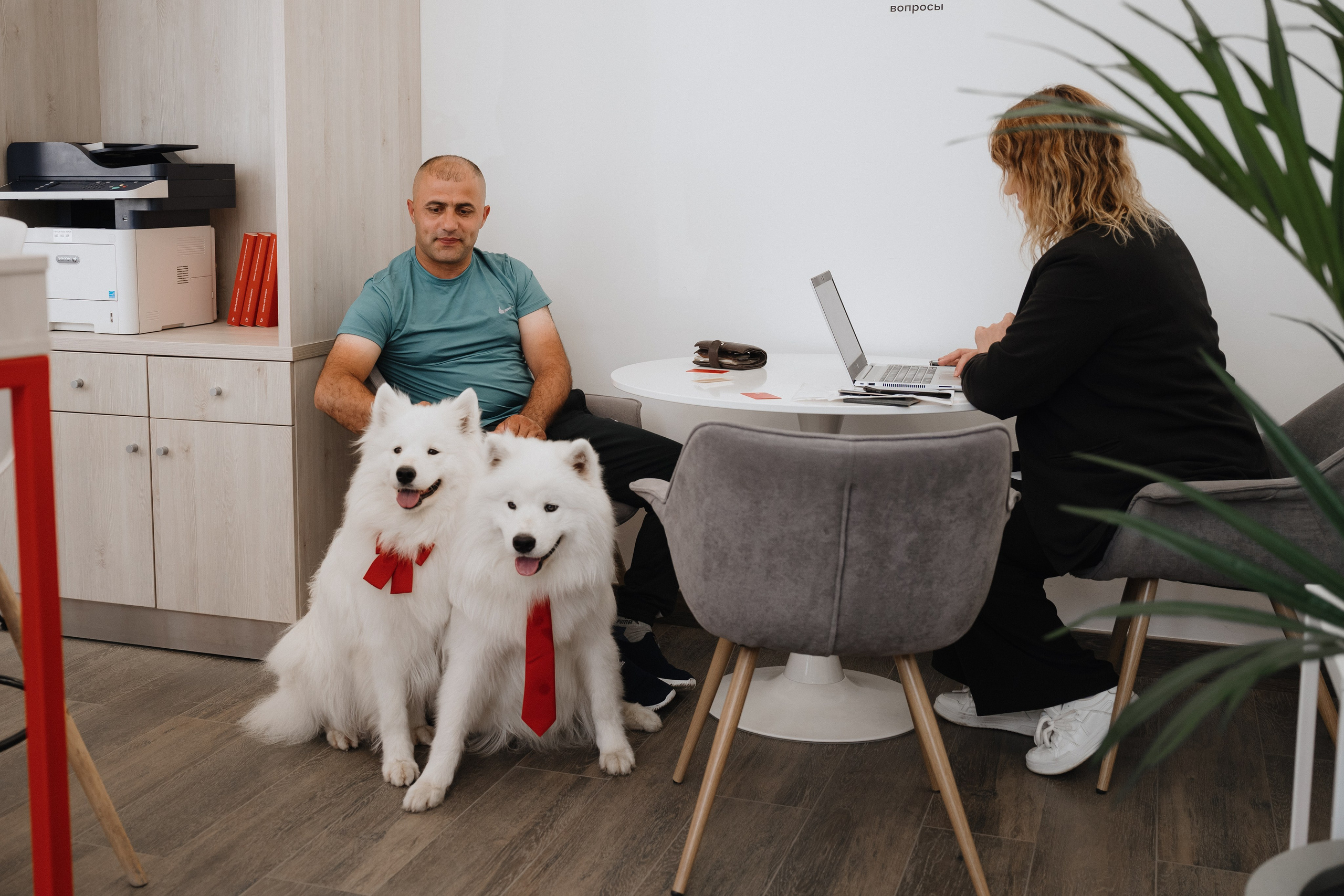 Альфа банк Карла Маркса 55. Фотограф Кристина Тумаева. Самоед Новосибирск