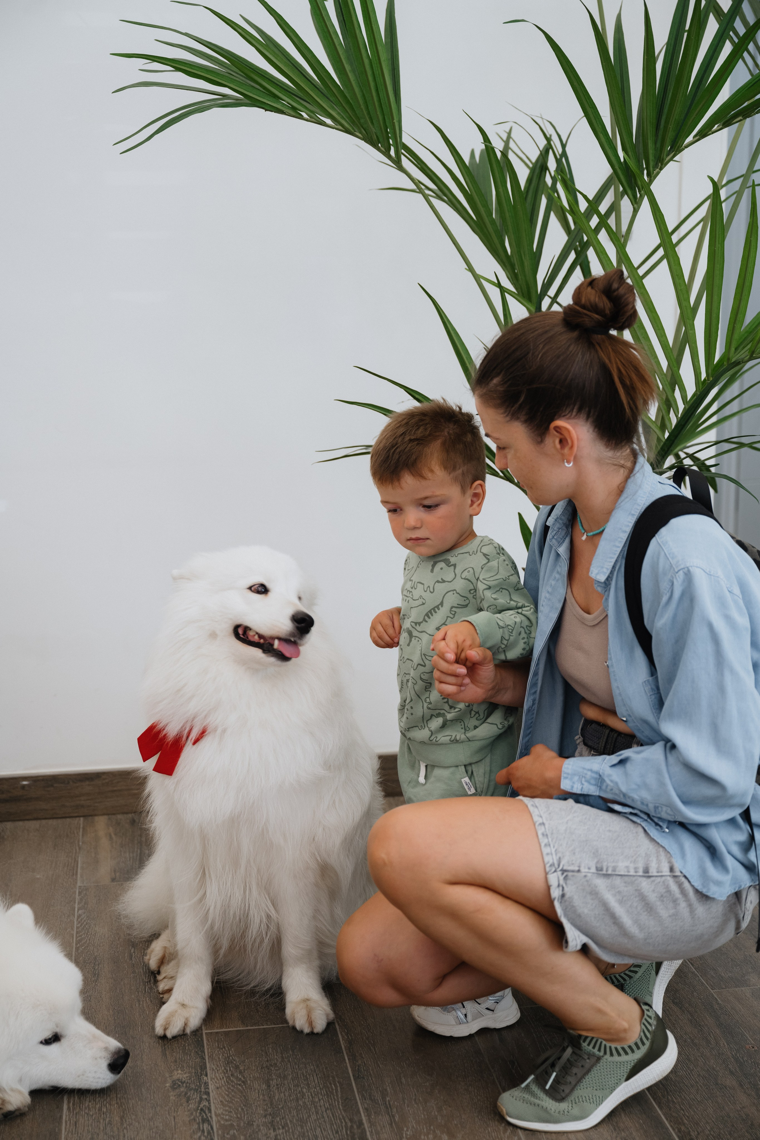 Альфа банк Карла Маркса 55. Фотограф Кристина Тумаева. Самоед Новосибирск