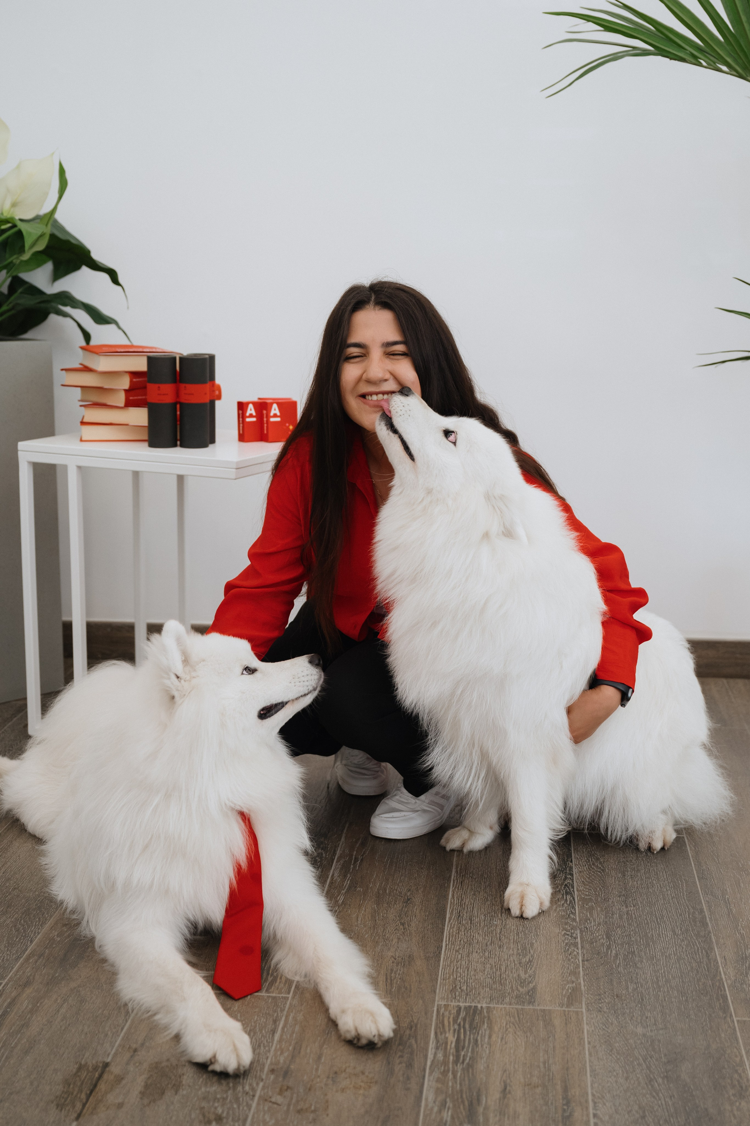 Альфа банк Карла Маркса 55. Фотограф Кристина Тумаева. Самоед Новосибирск