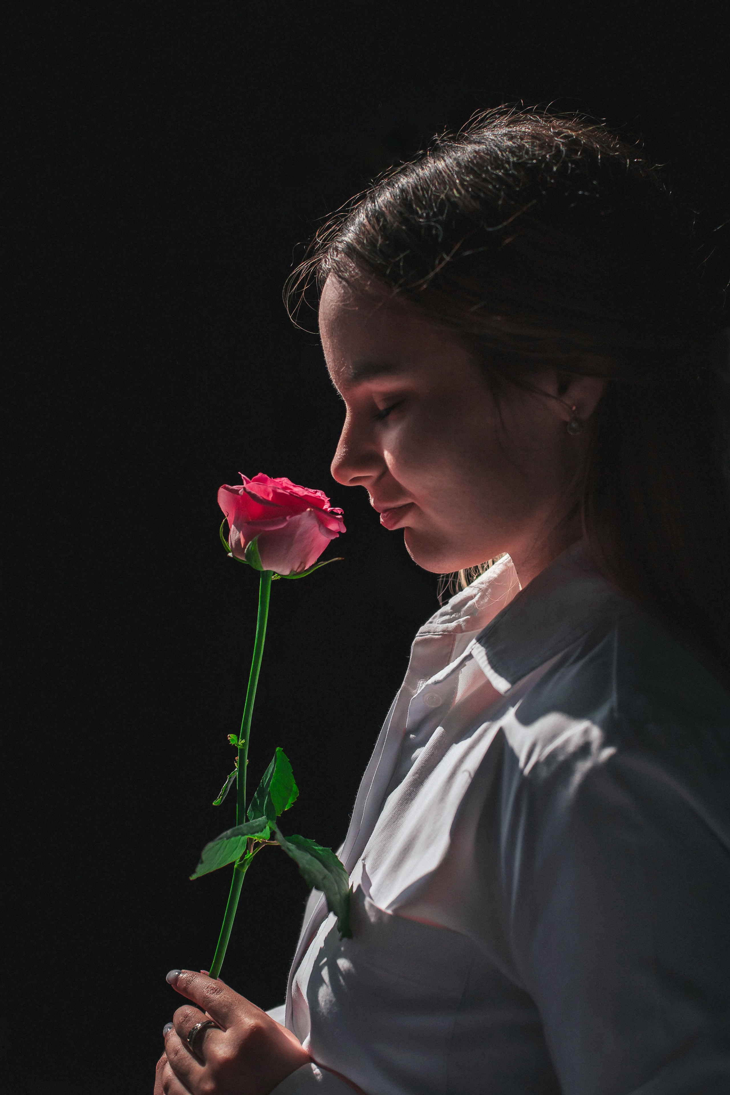 Весенняя роза. Фотограф в Волгограде Норченко Светлана