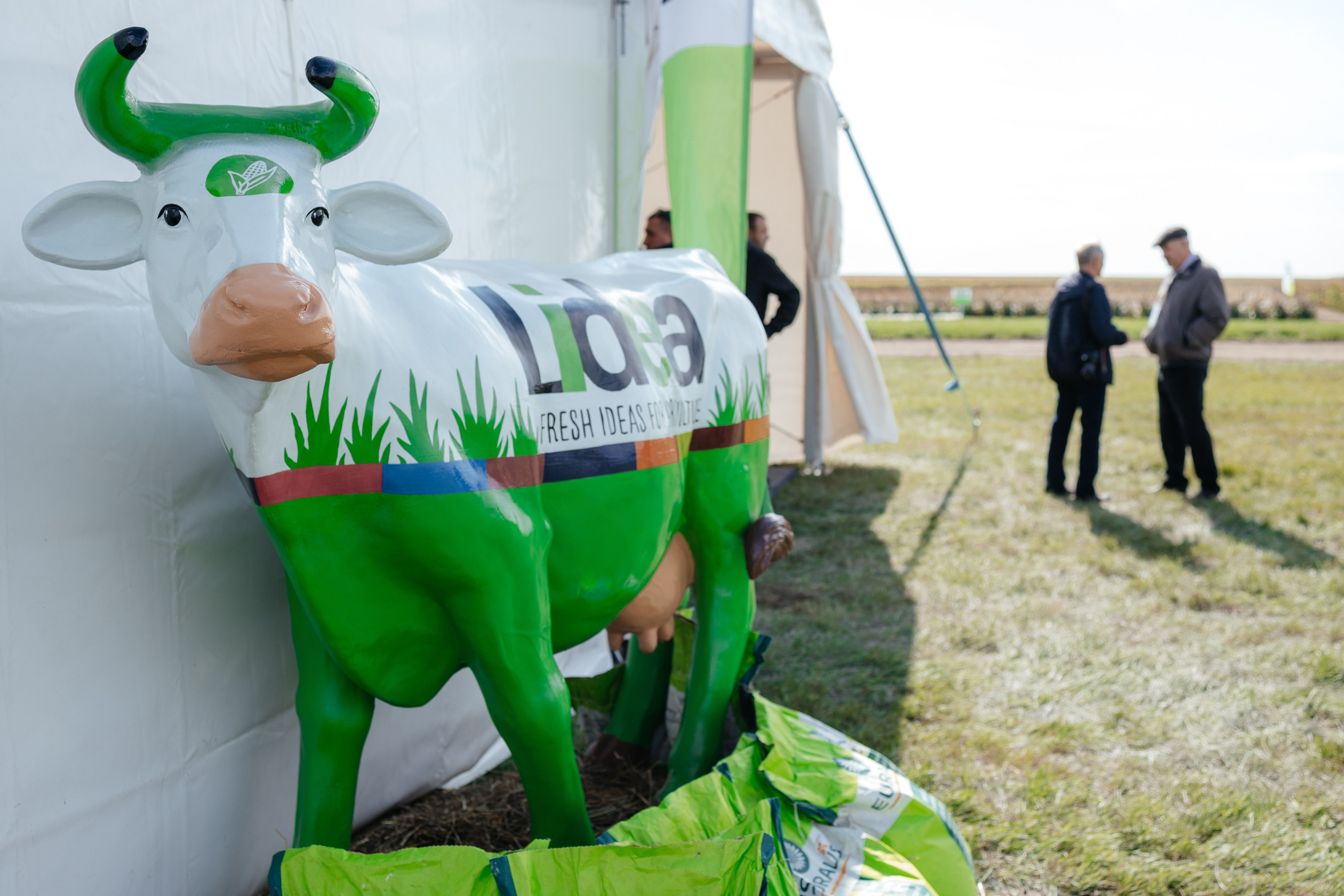 День поля. Фотограф Крохин Олег