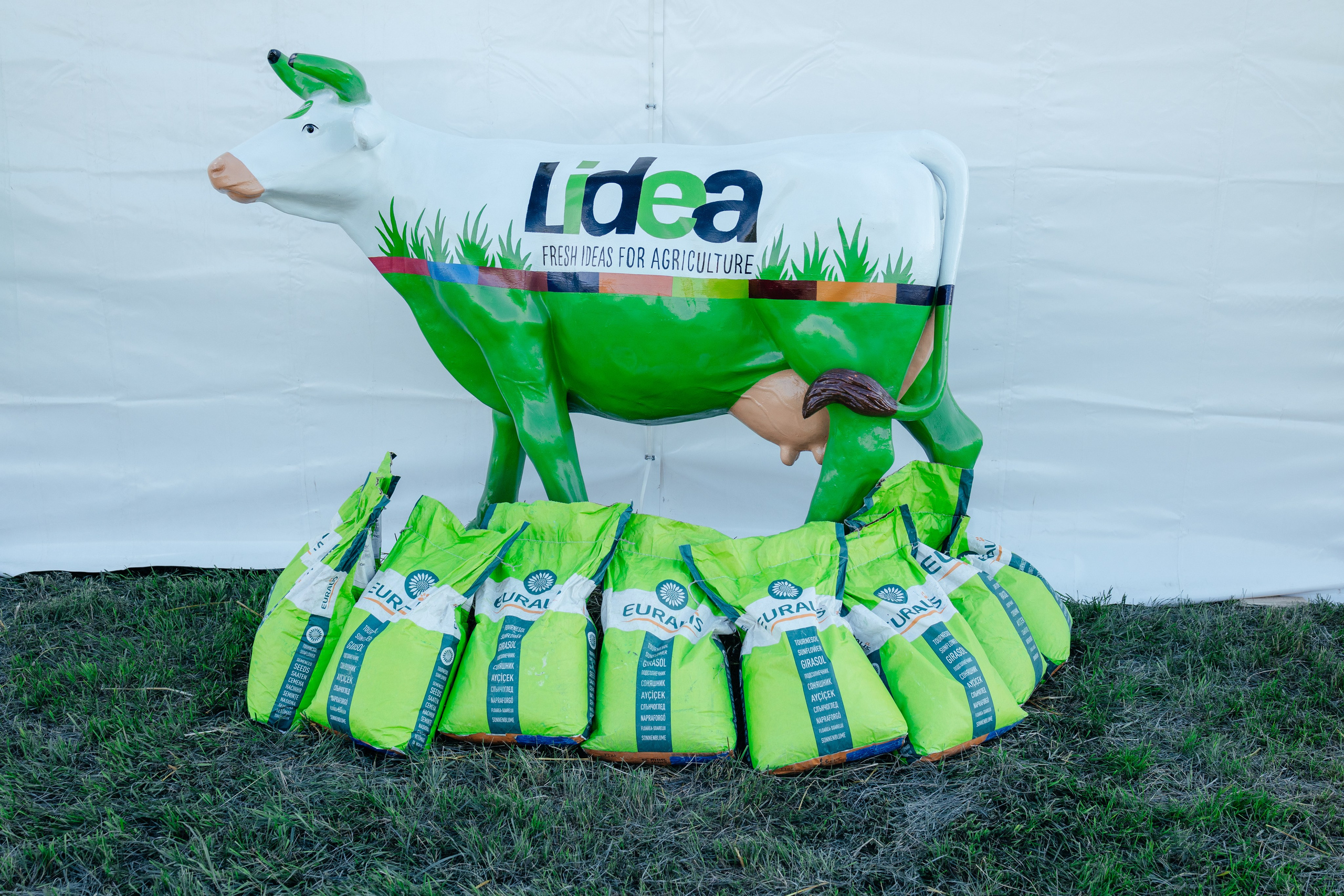 День поля. Фотограф Крохин Олег