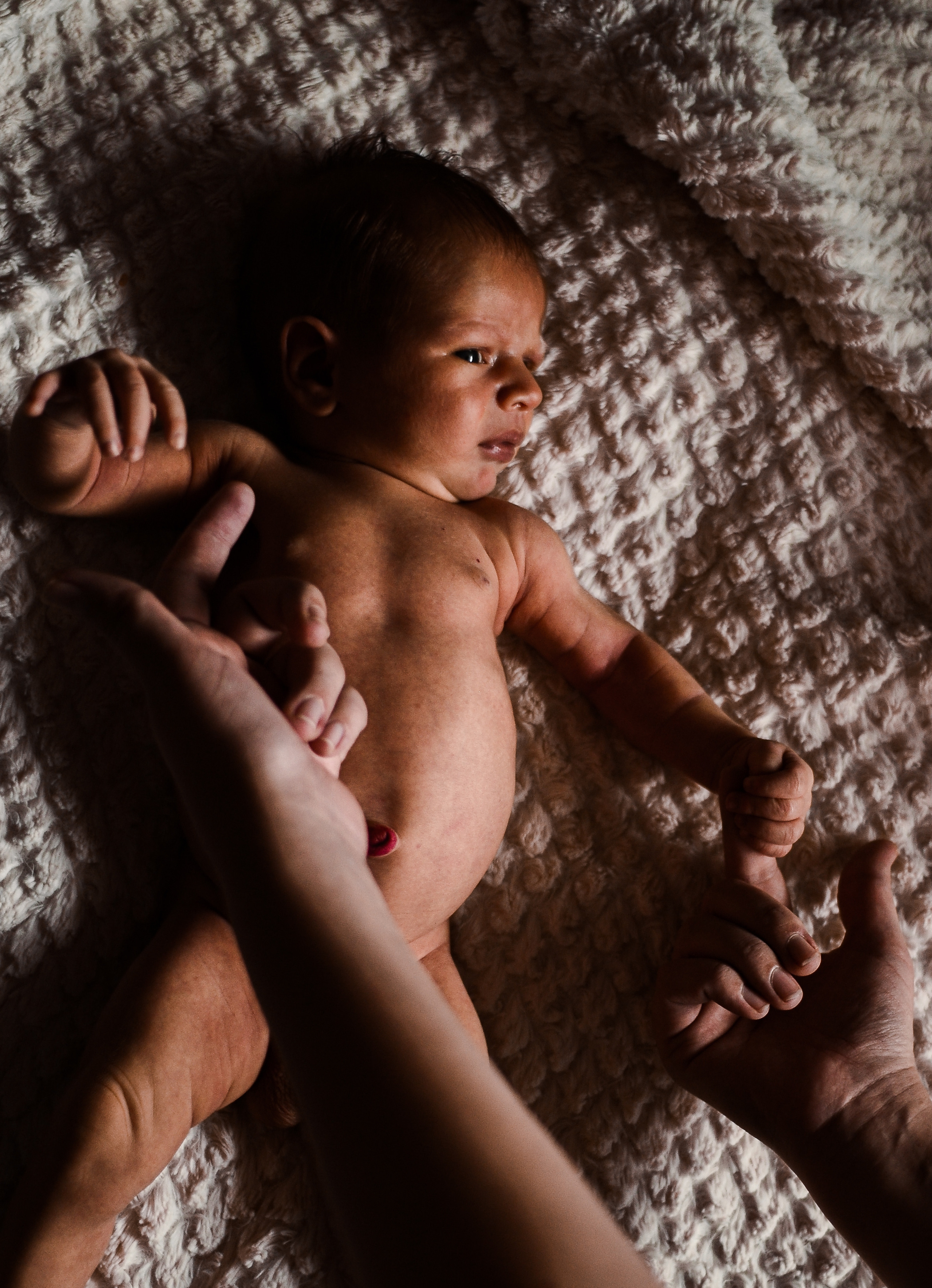 Новорождённый. Семейный Фотограф Новосибирск, Школьные фотосессии Новосибирск, школьный фотограф Новосибирск, выпускные альбомы