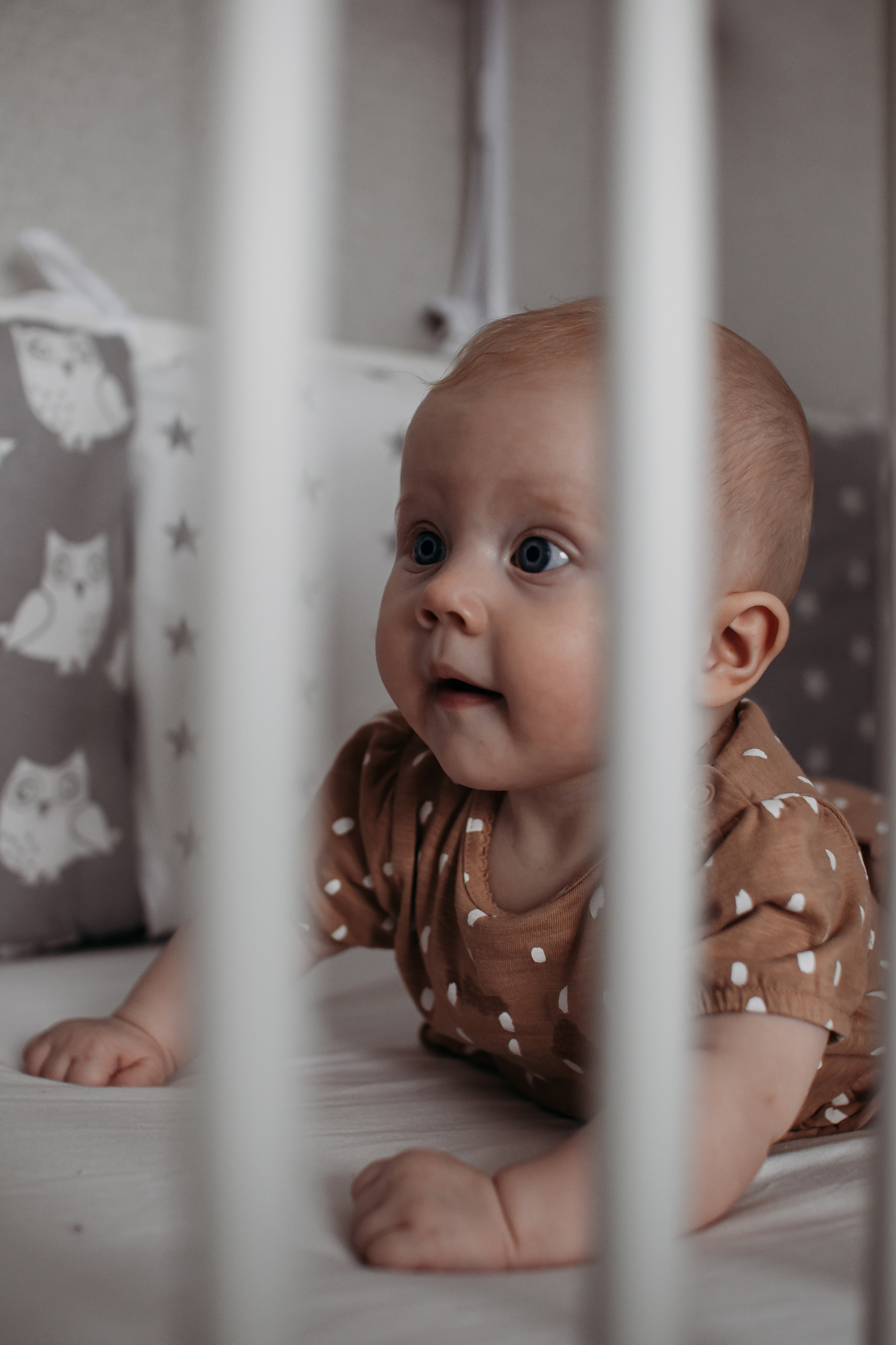 Алиса в чудесах. Семейный Фотограф Новосибирск, Школьные фотосессии Новосибирск, школьный фотограф Новосибирск, выпускные альбомы