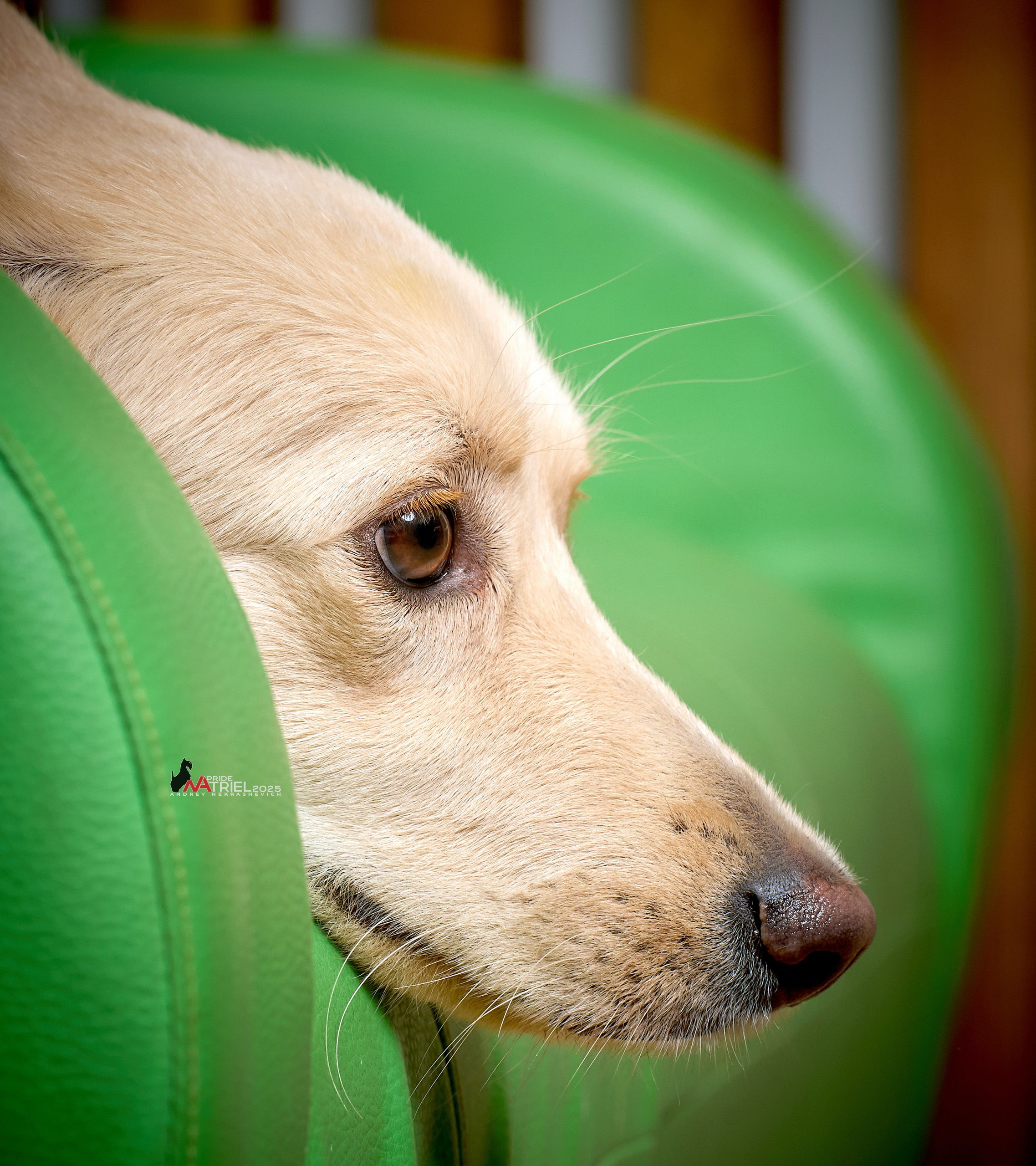 Репортаж GROOM с мобильным светом