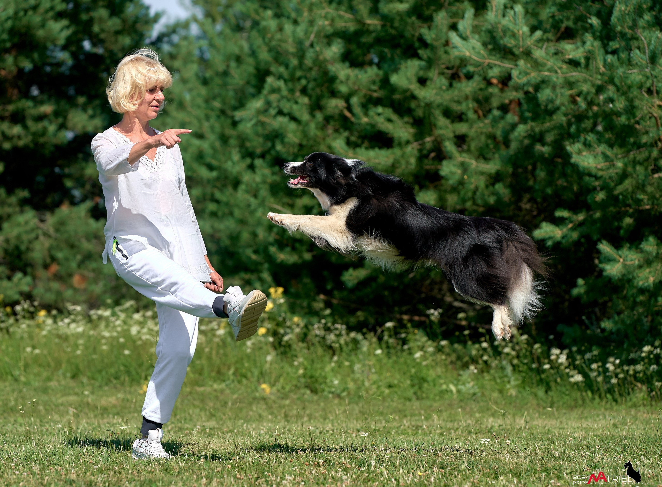 Репортаж из кинологического лагеря