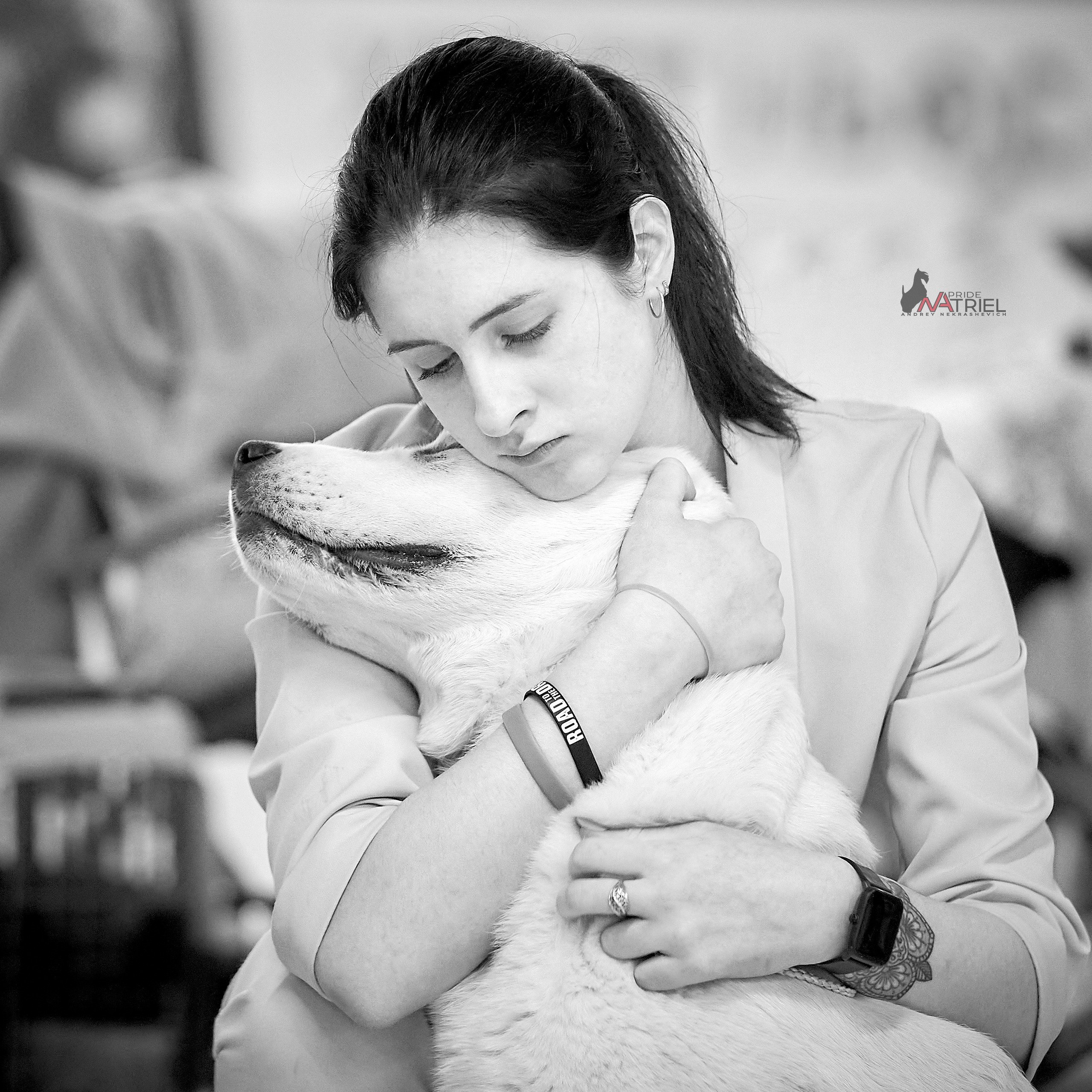 Картинки с выставки — галерея NATRIEL