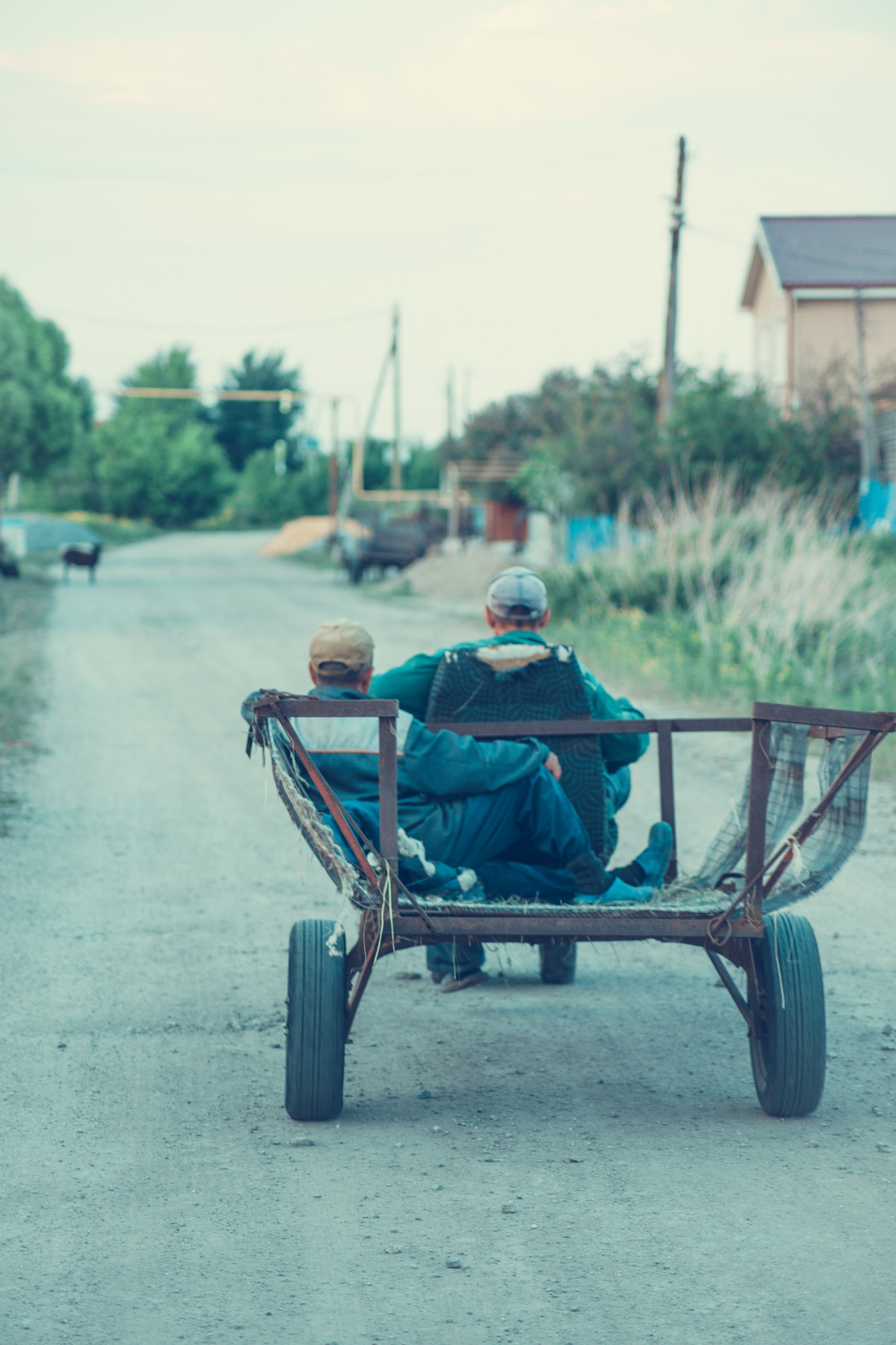 Warm Light of a Quiet Life. Whoii art