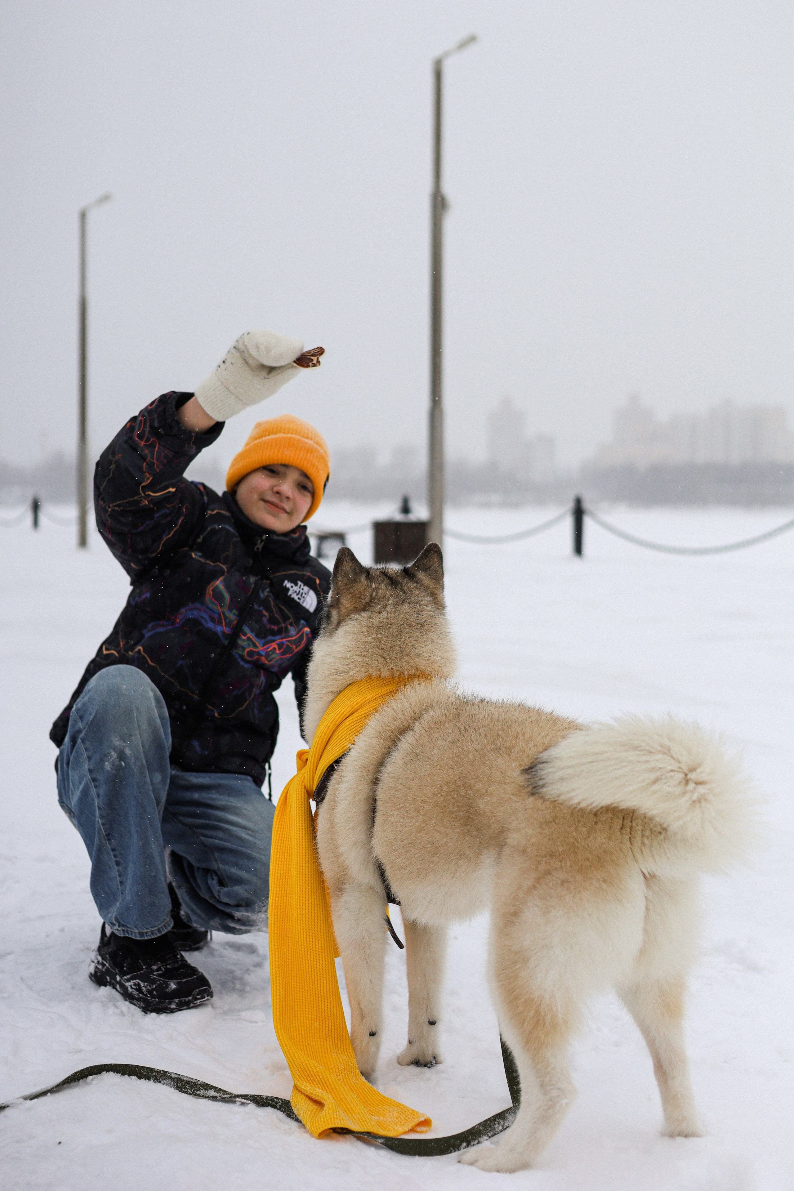 Мила, Лиза и Матвей. Фотограф-анималист Ксения Шевцова|Москва