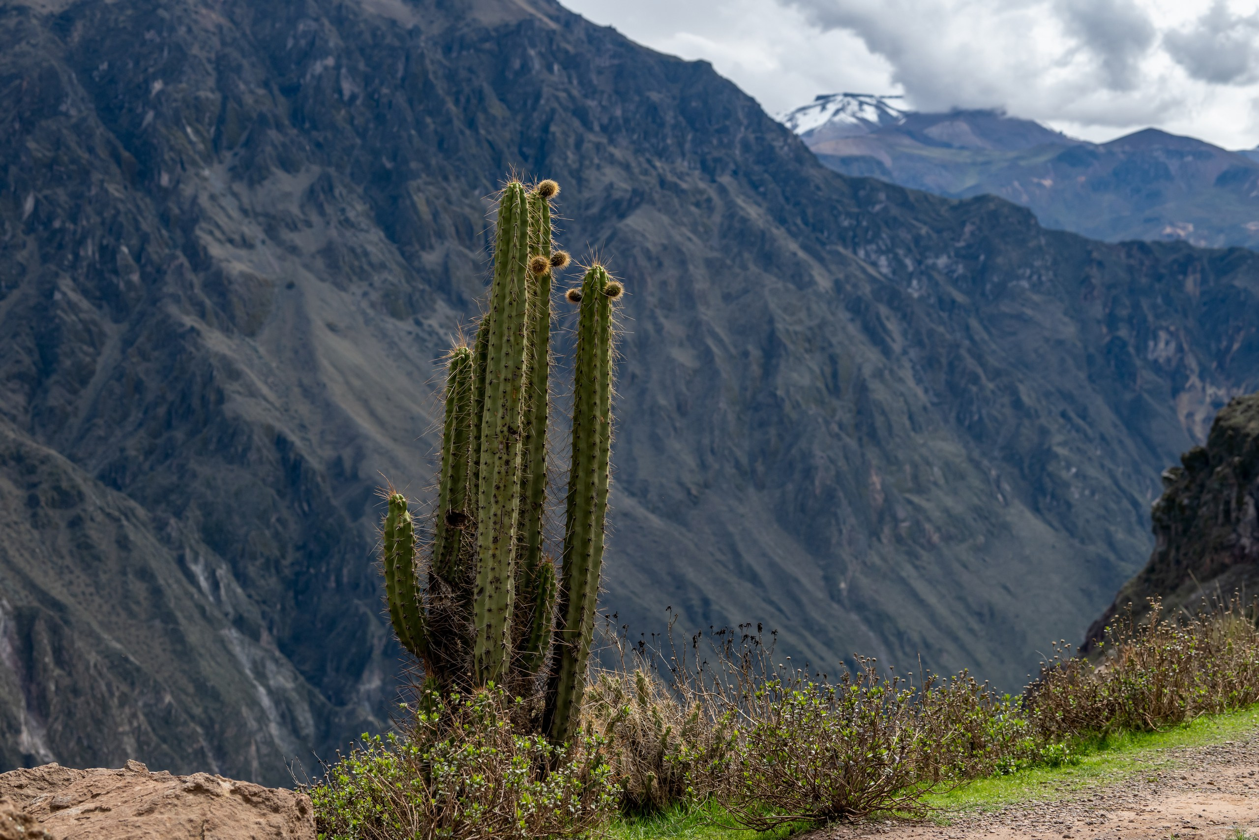 Перу. Foto-Zuev фотография как искусство