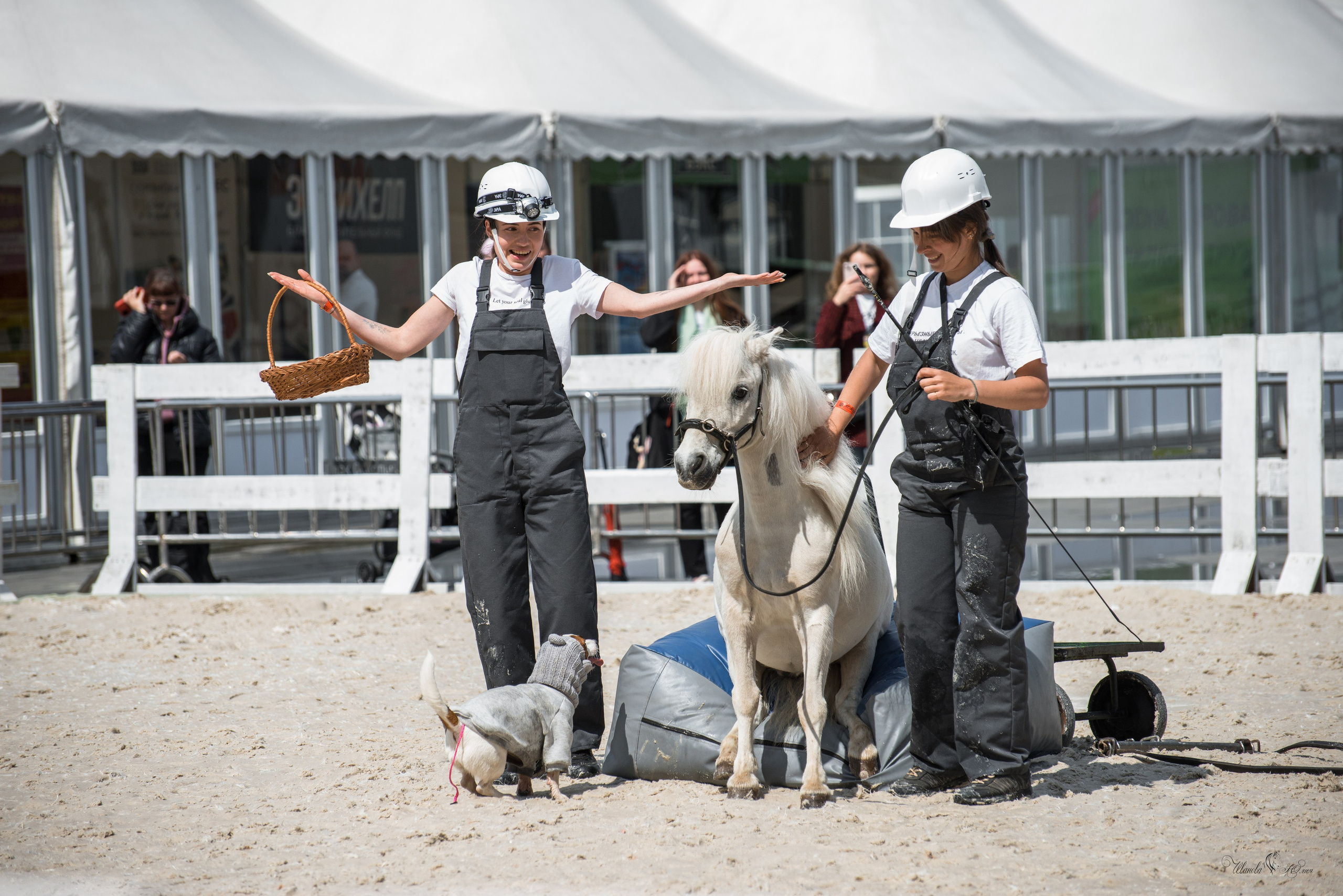 Эквирос, Москва. Конный фотограф в Саратове Юлия Иванова