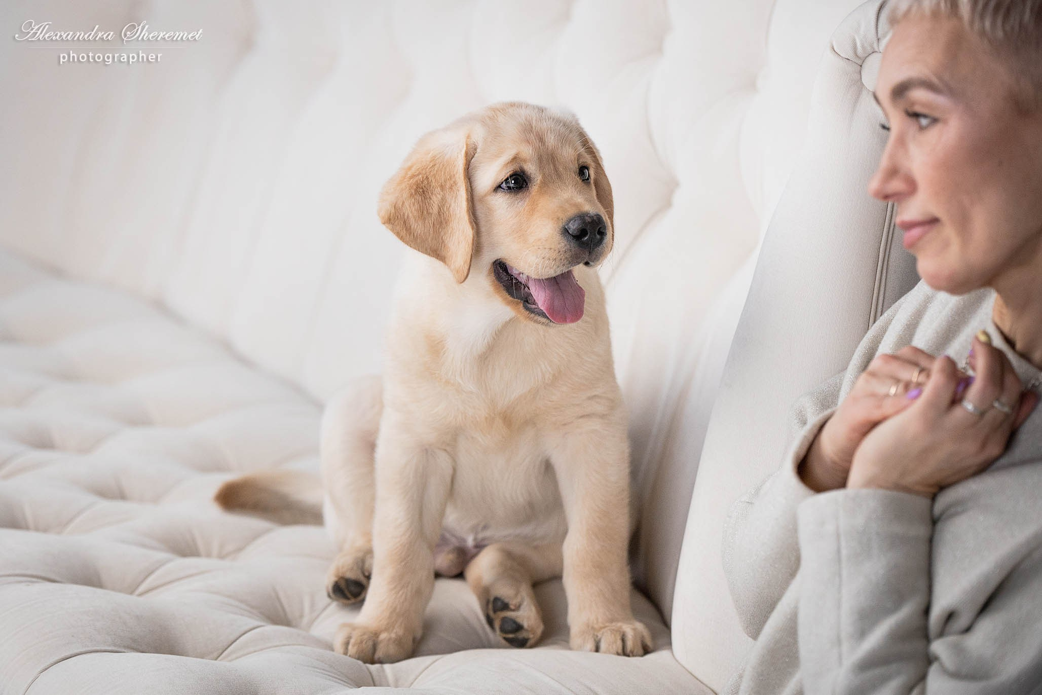 Оксана & лабрадор. Фотограф-анималист Александра Шеремет