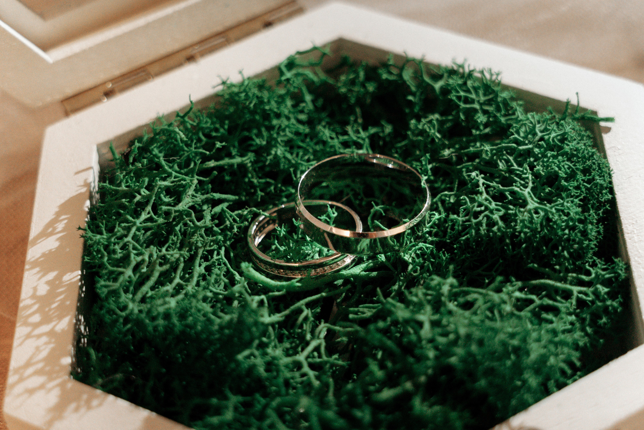 Свадебная съемка в Тамбове. Свадебный фотограф в Тамбове Павел Четвертков