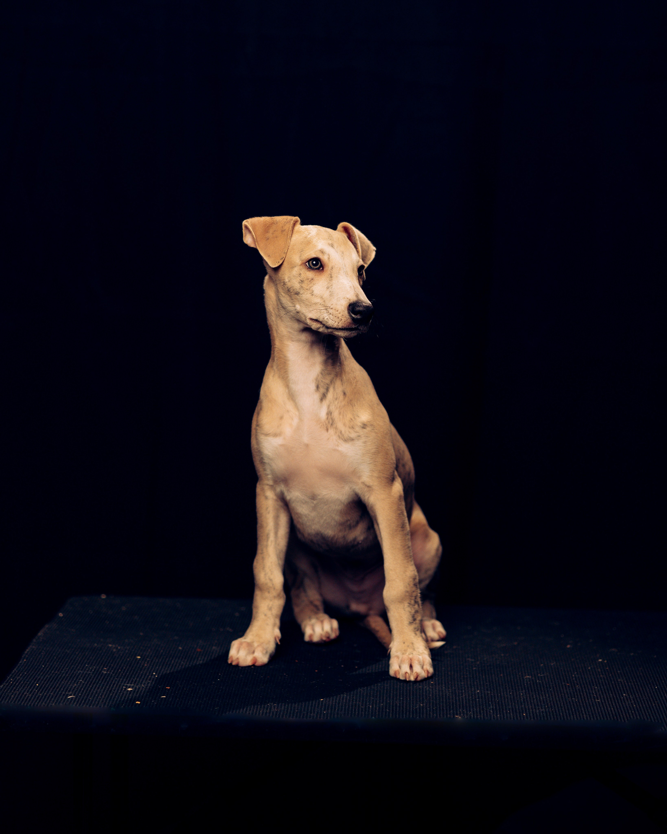 Детки-конфетки. Анна Самохина. Фотограф. Москва