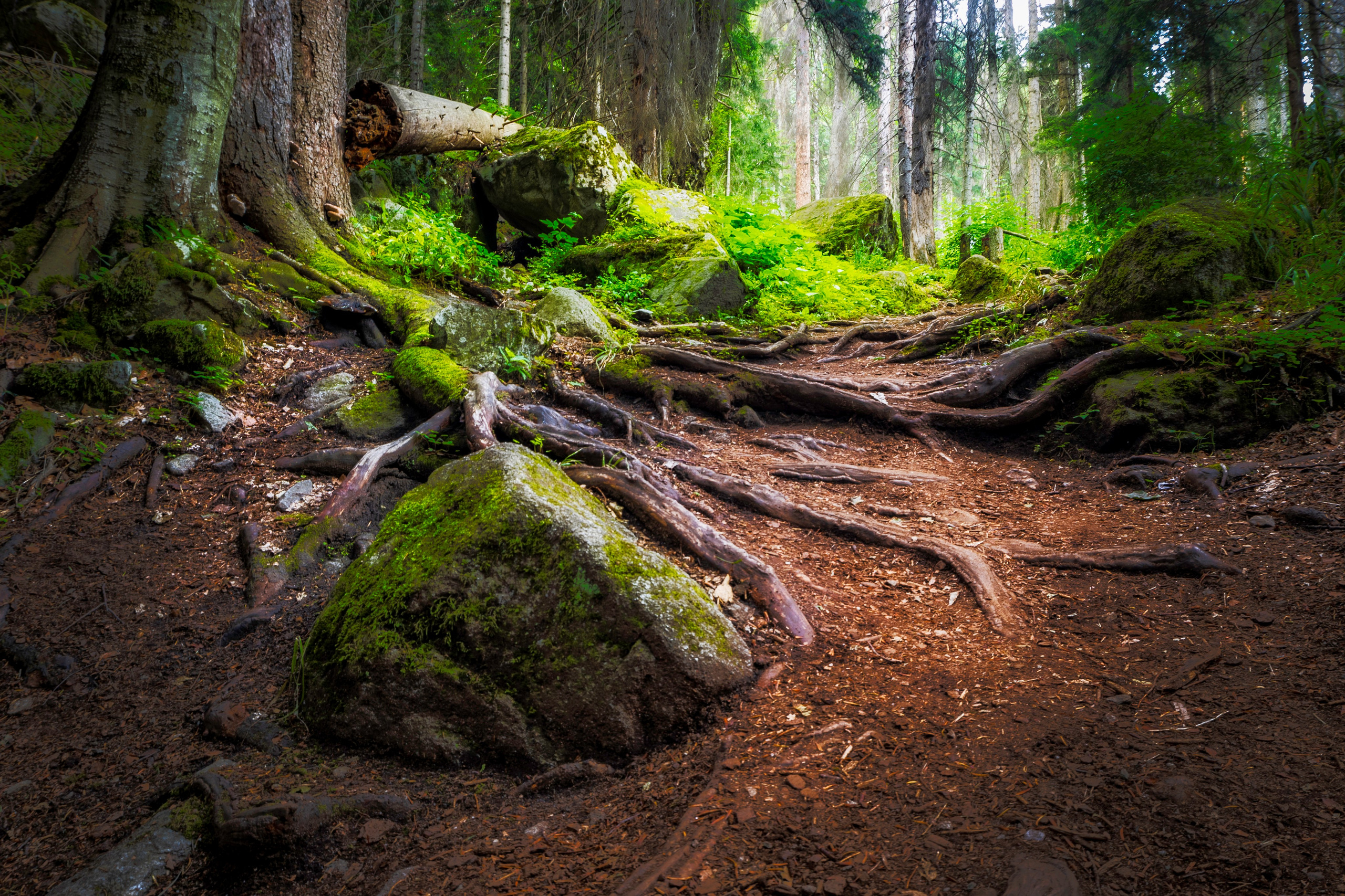 Домбай. Фотохудожник Артём Парамонов