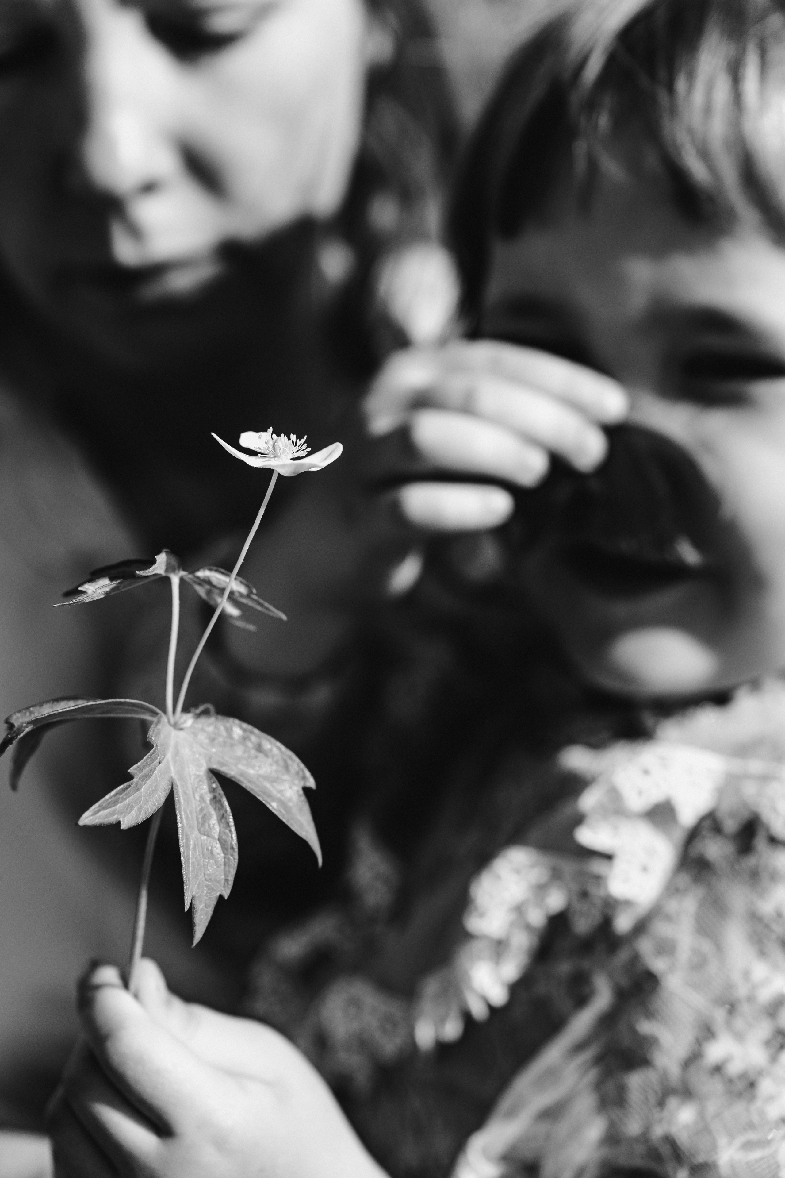 Пикник. Лайфстайл фотограф в Ханты-Мансийске Мария Шишкина